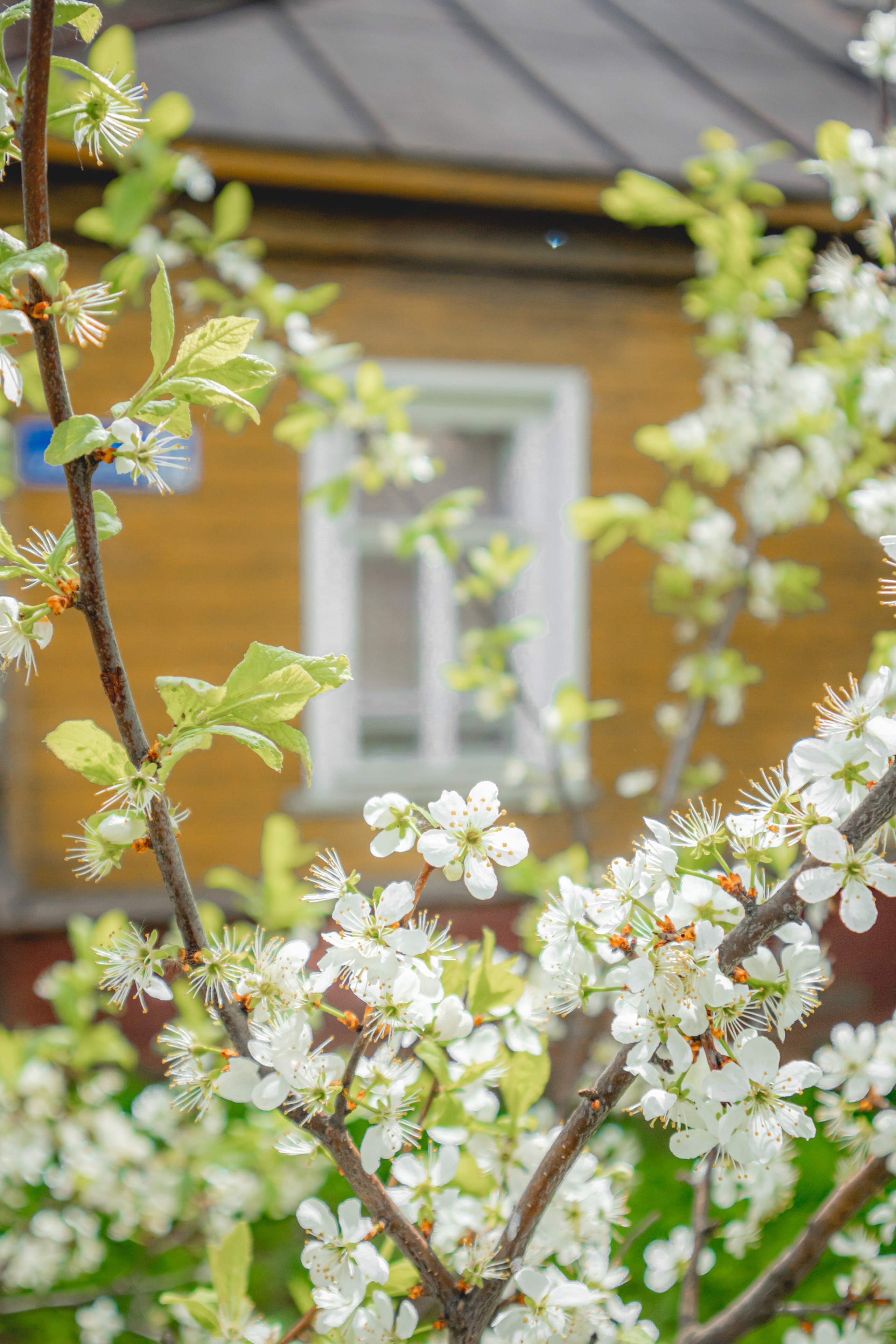 Кириллов.2023. «Фотохроники»