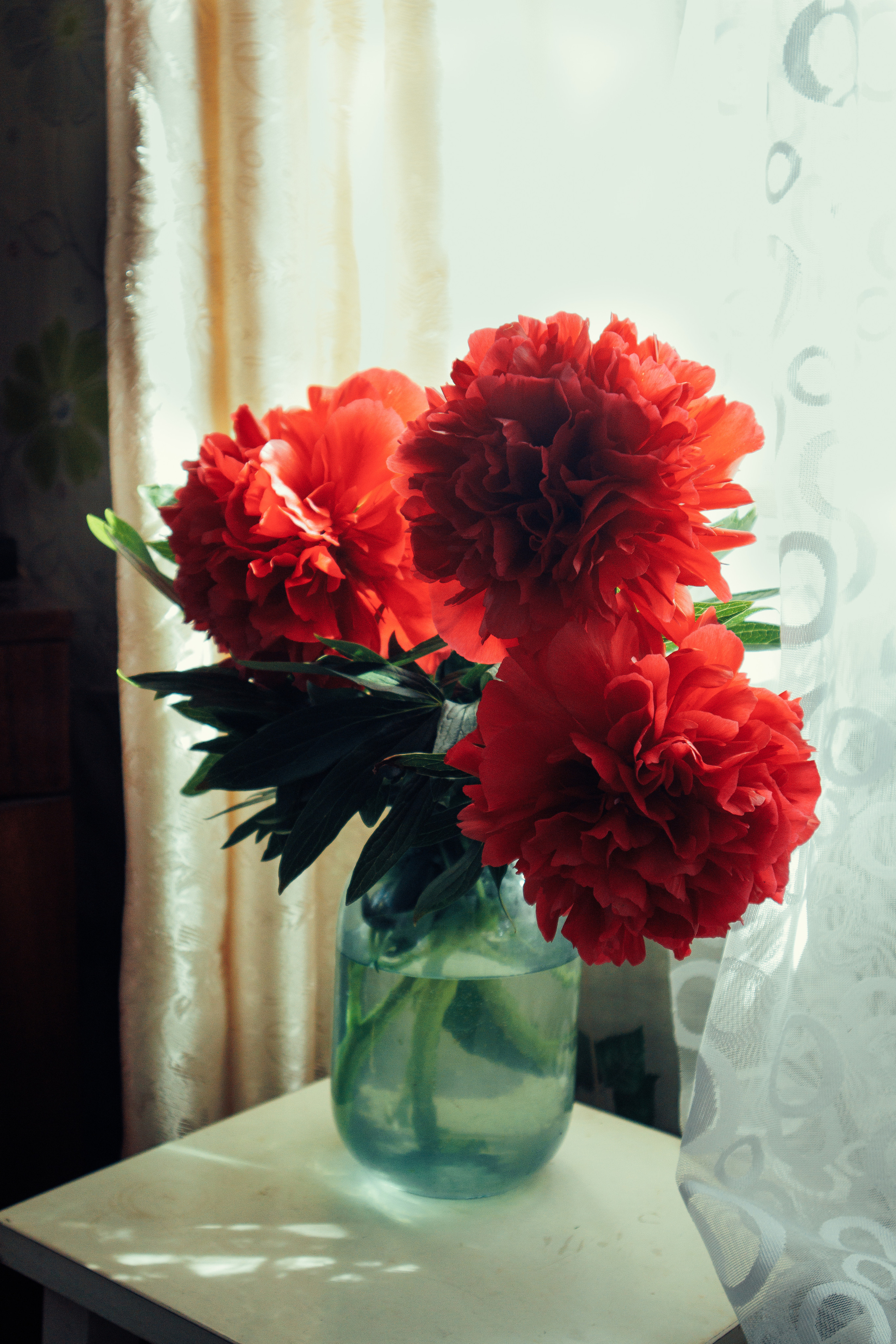 Still life. «Фотохроники»