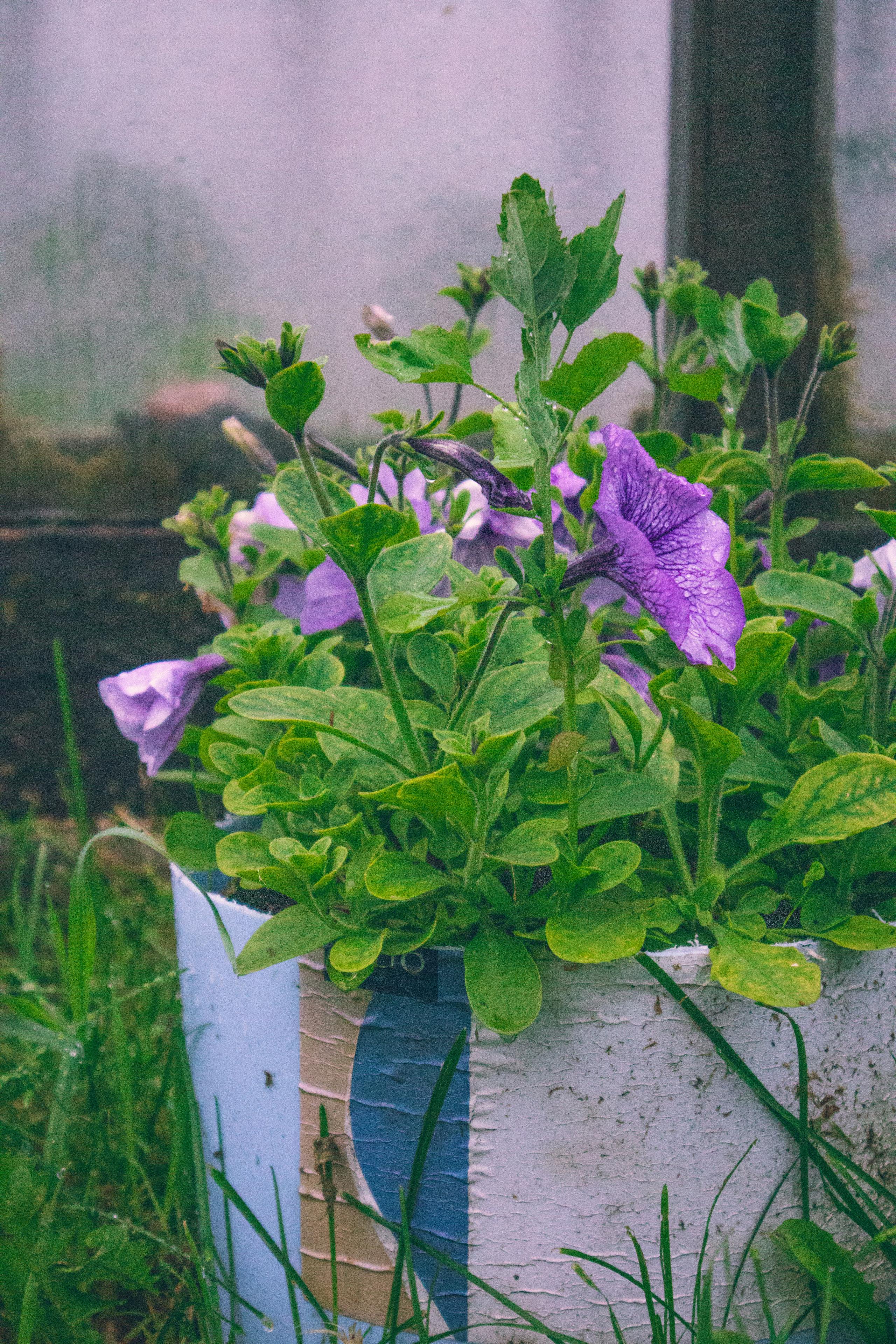 Countryside 2022. «Фотохроники»