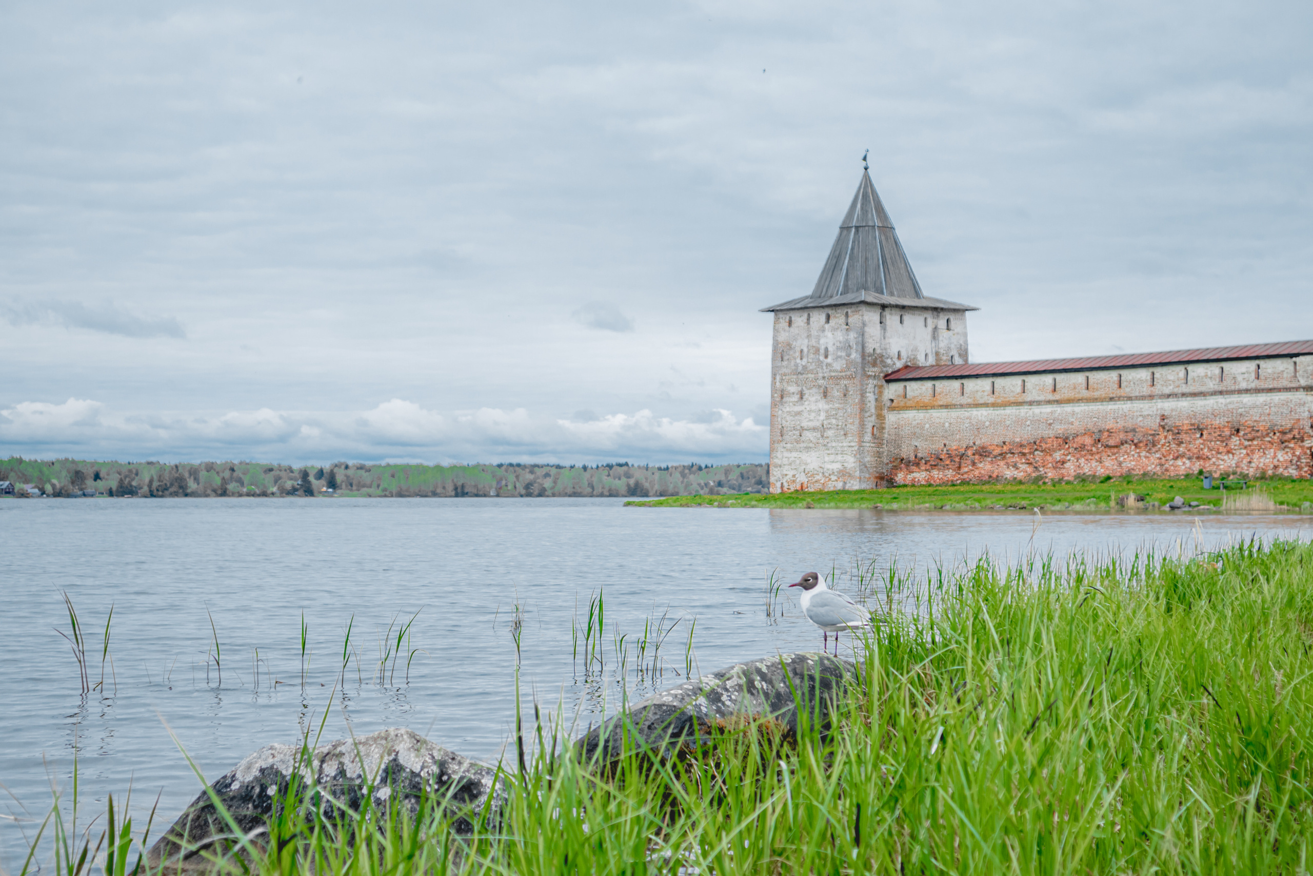 Кириллов.2023. «Фотохроники»