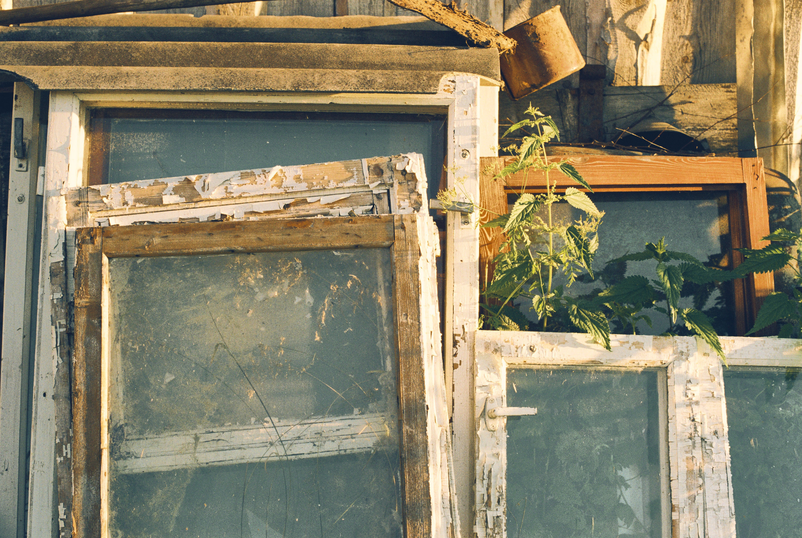 Countryside 2018. «Фотохроники»