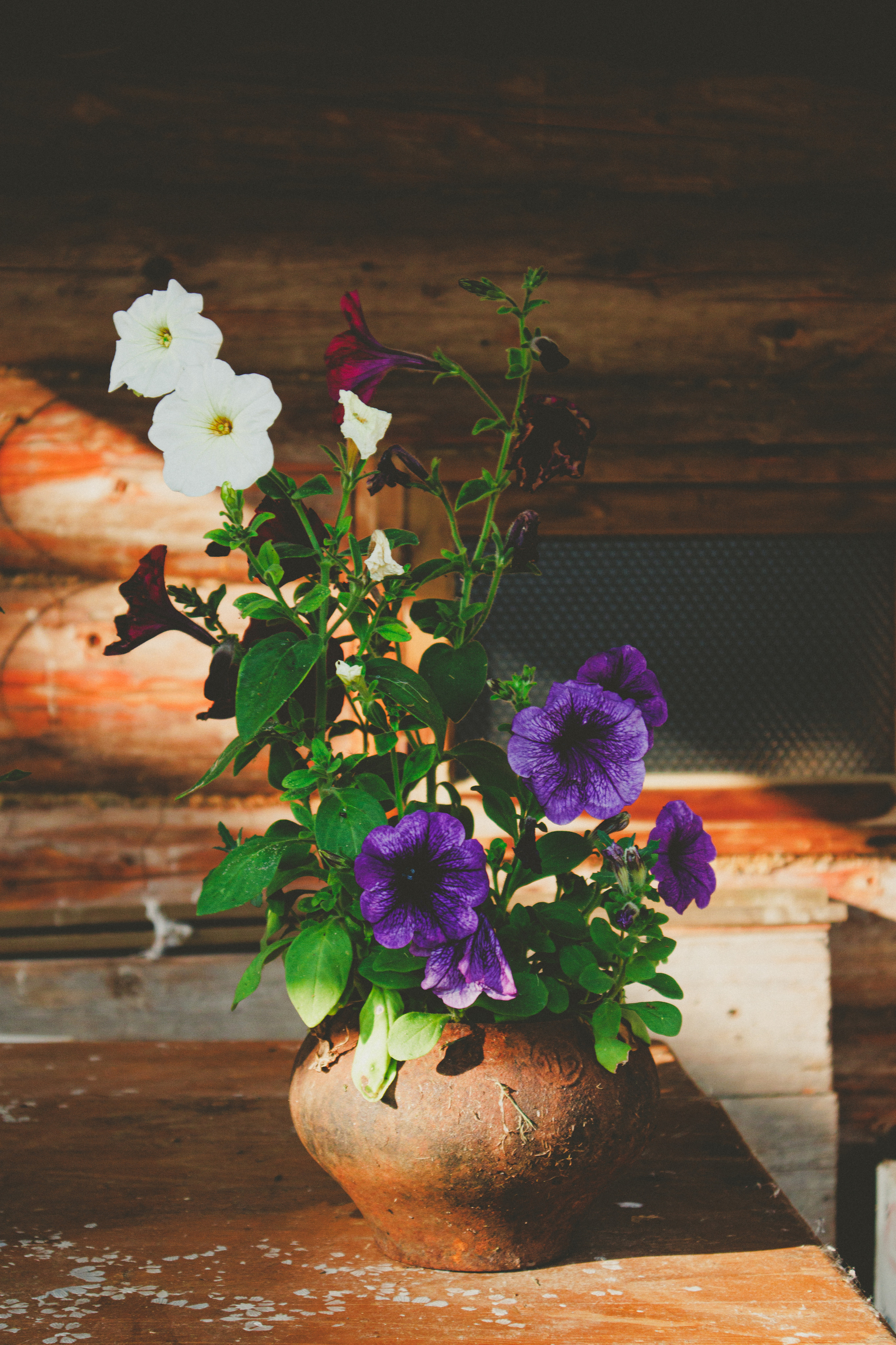 Countryside 2022. «Фотохроники»