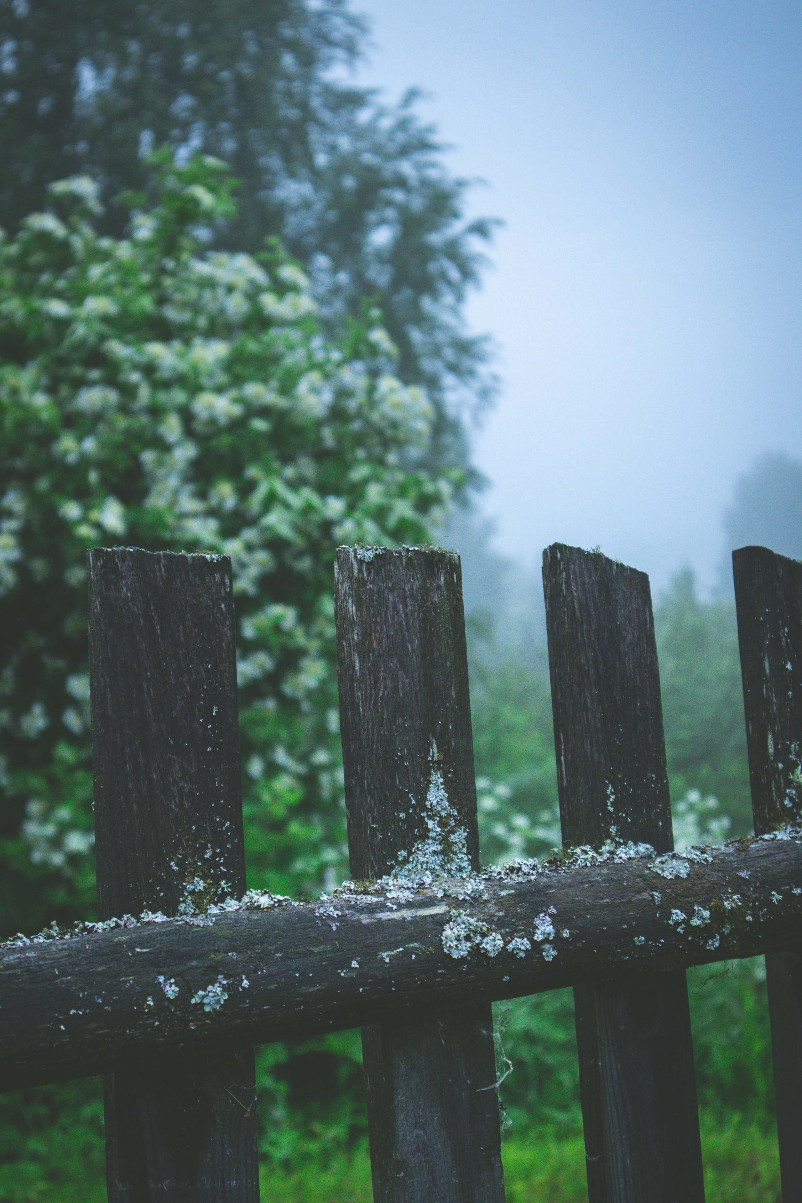 Countryside 2022. «Фотохроники»