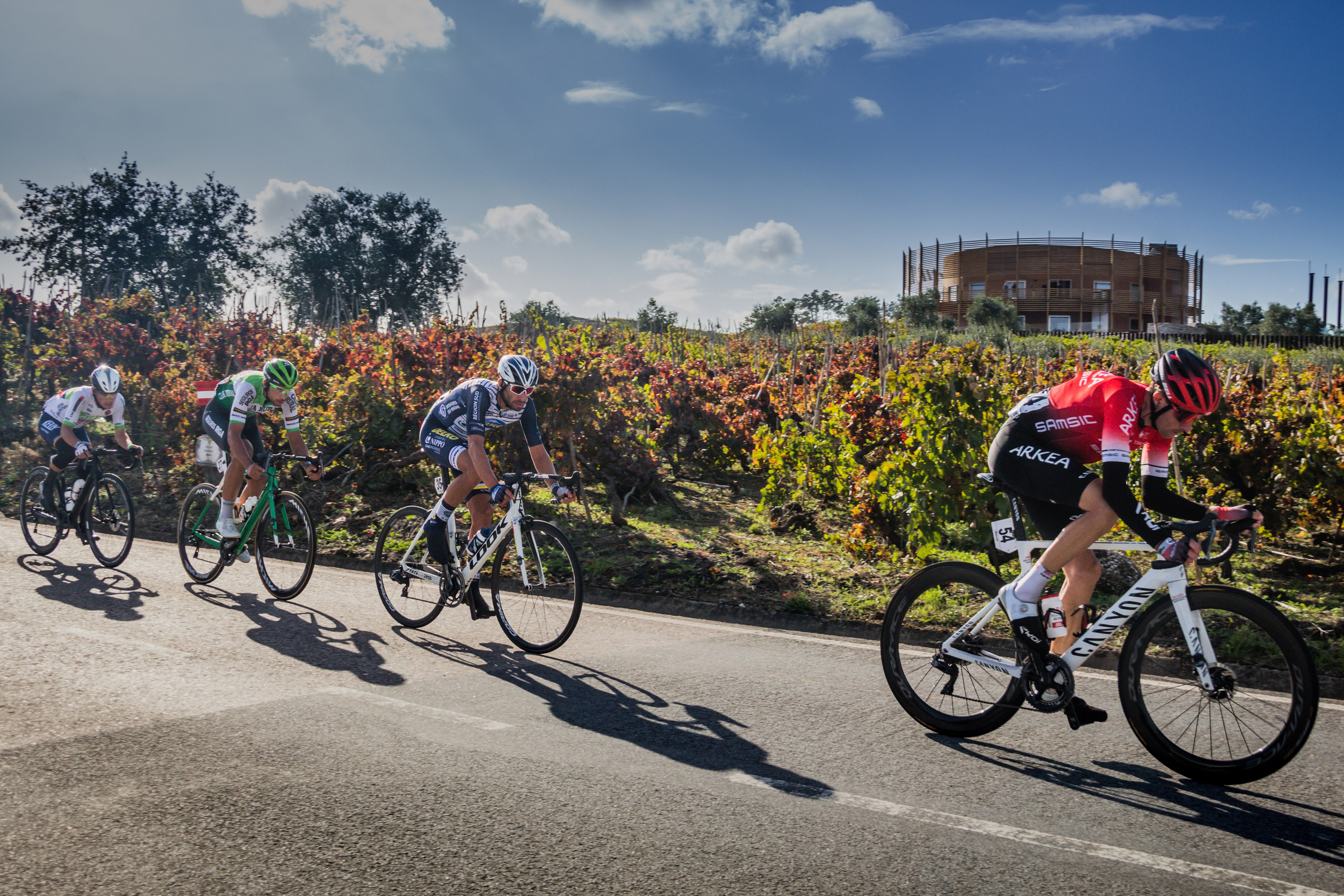 Rafael Ferreira Photography