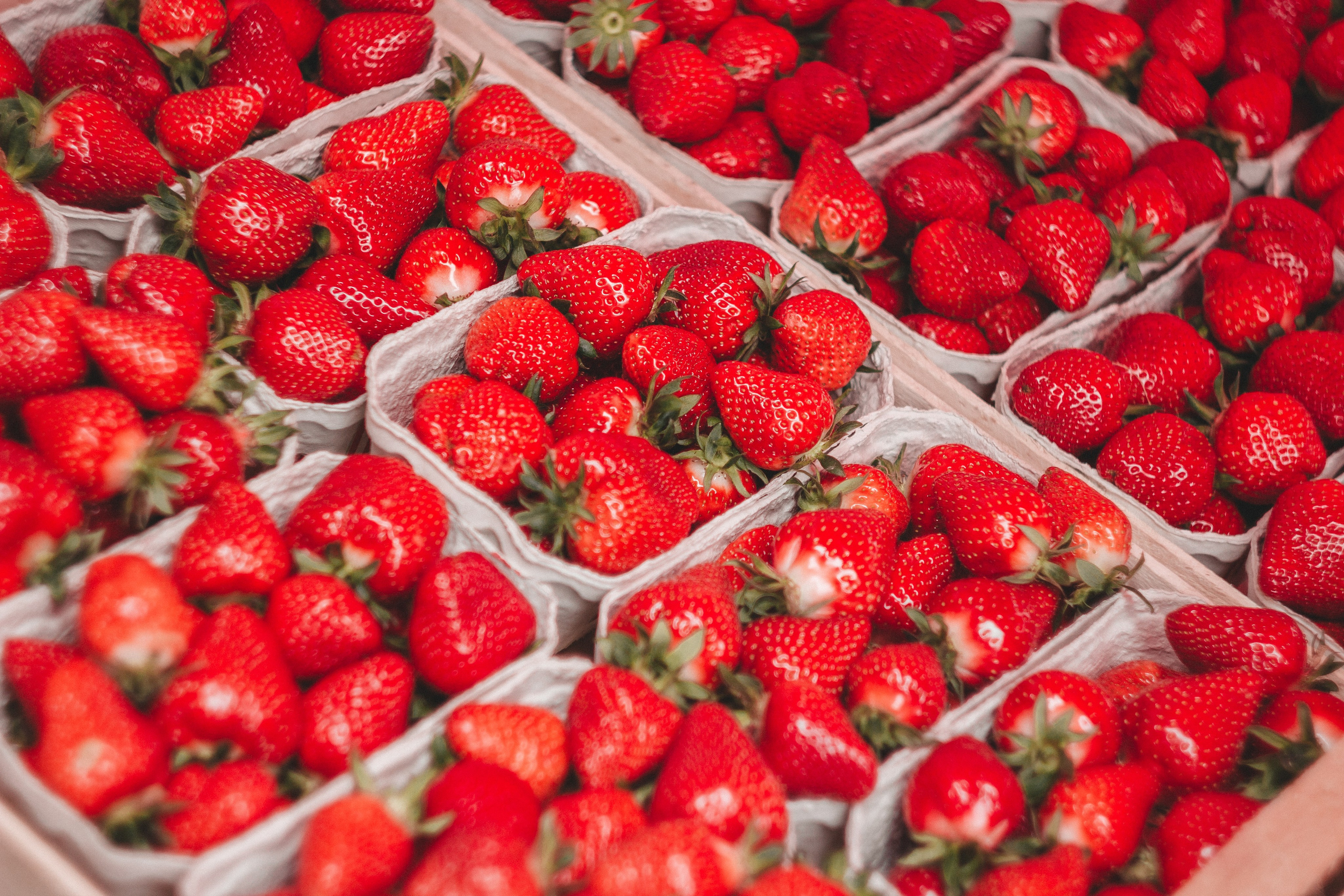 Oberkircher Erdbeerfest. Maria Chistyakovа — Fotografin in Karlsruhe, Baden-Baden und Umgebung