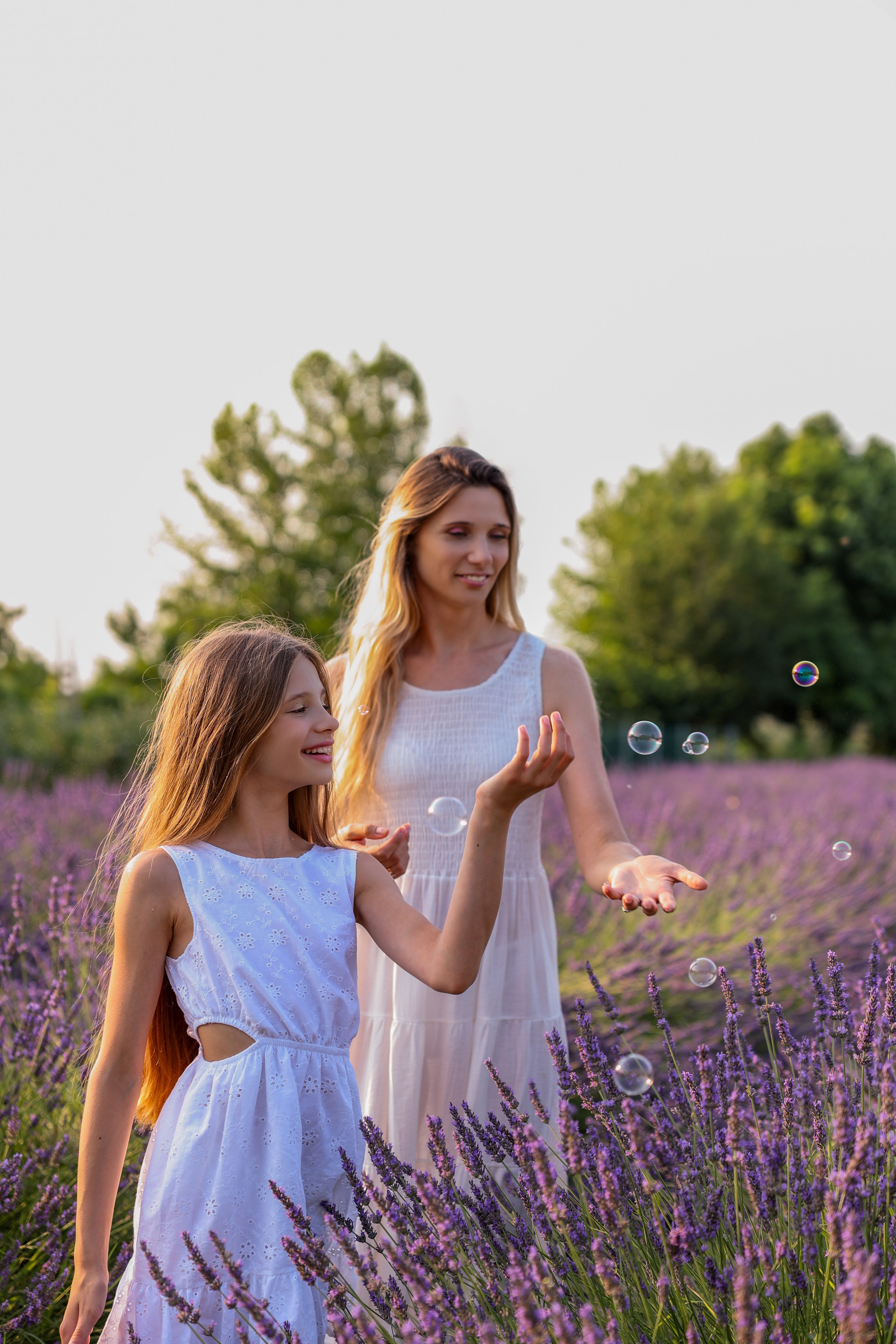 Lavanda. Fotografo Videomaker Drone Padova Venice Italy Elena Radchenko