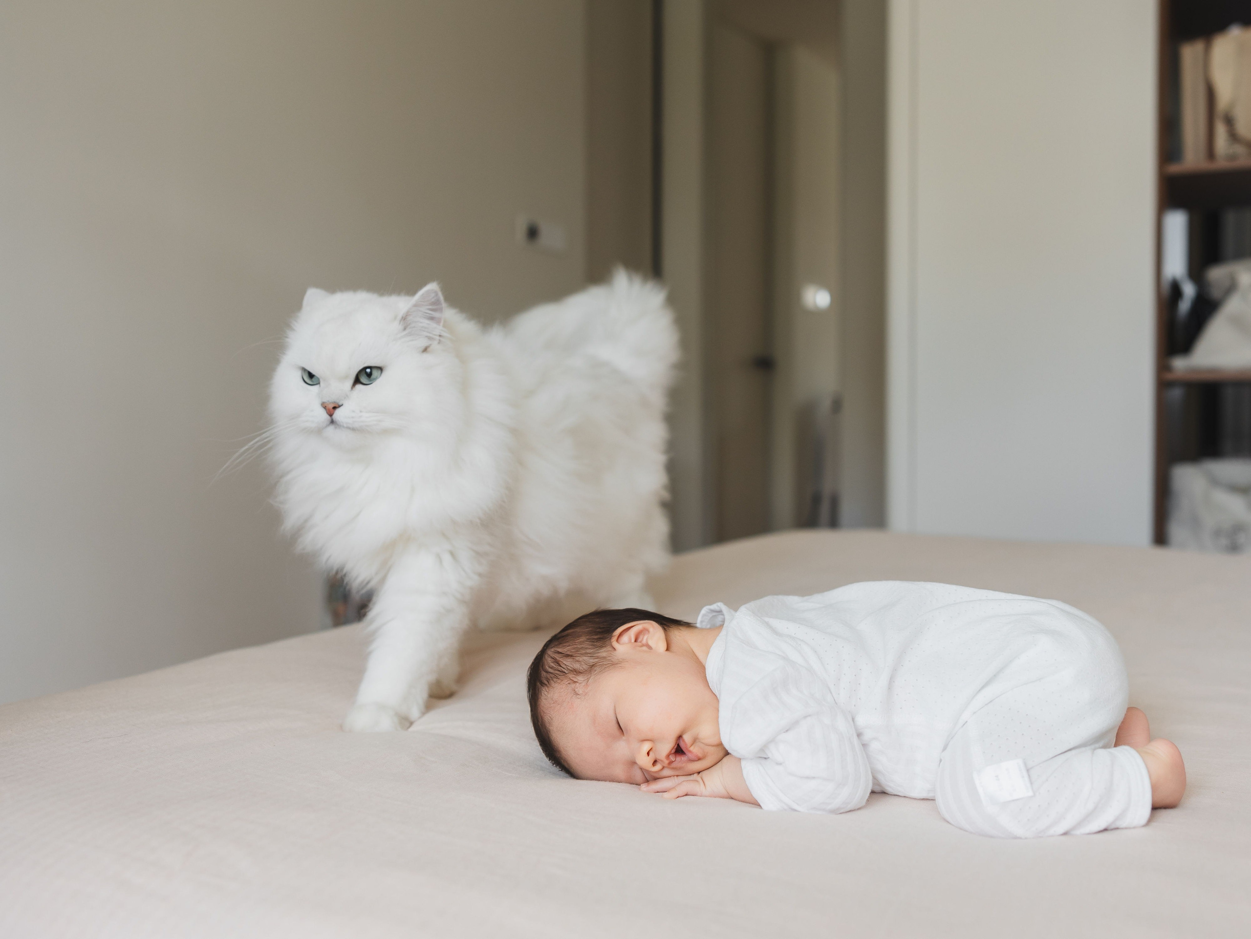 Family and Pets Photography in Shanghai | Dora
