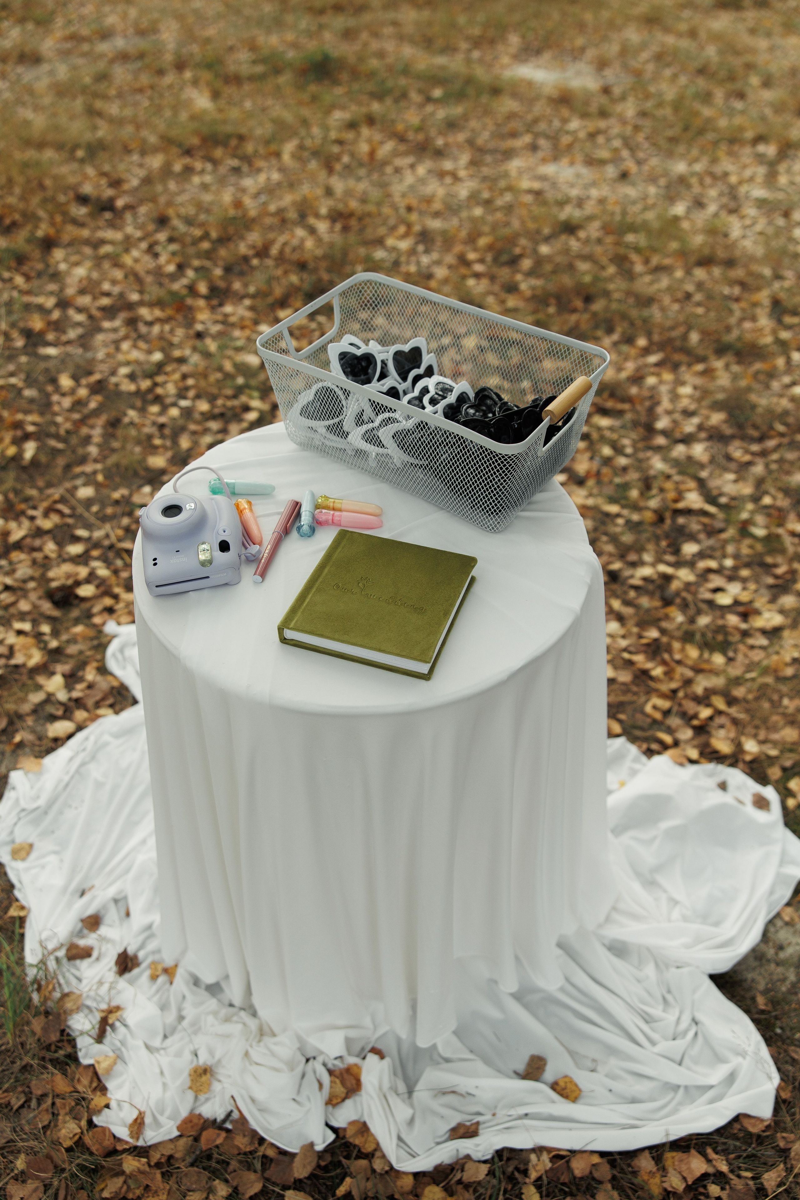 Inna Oleksandr. Ірина Терещук