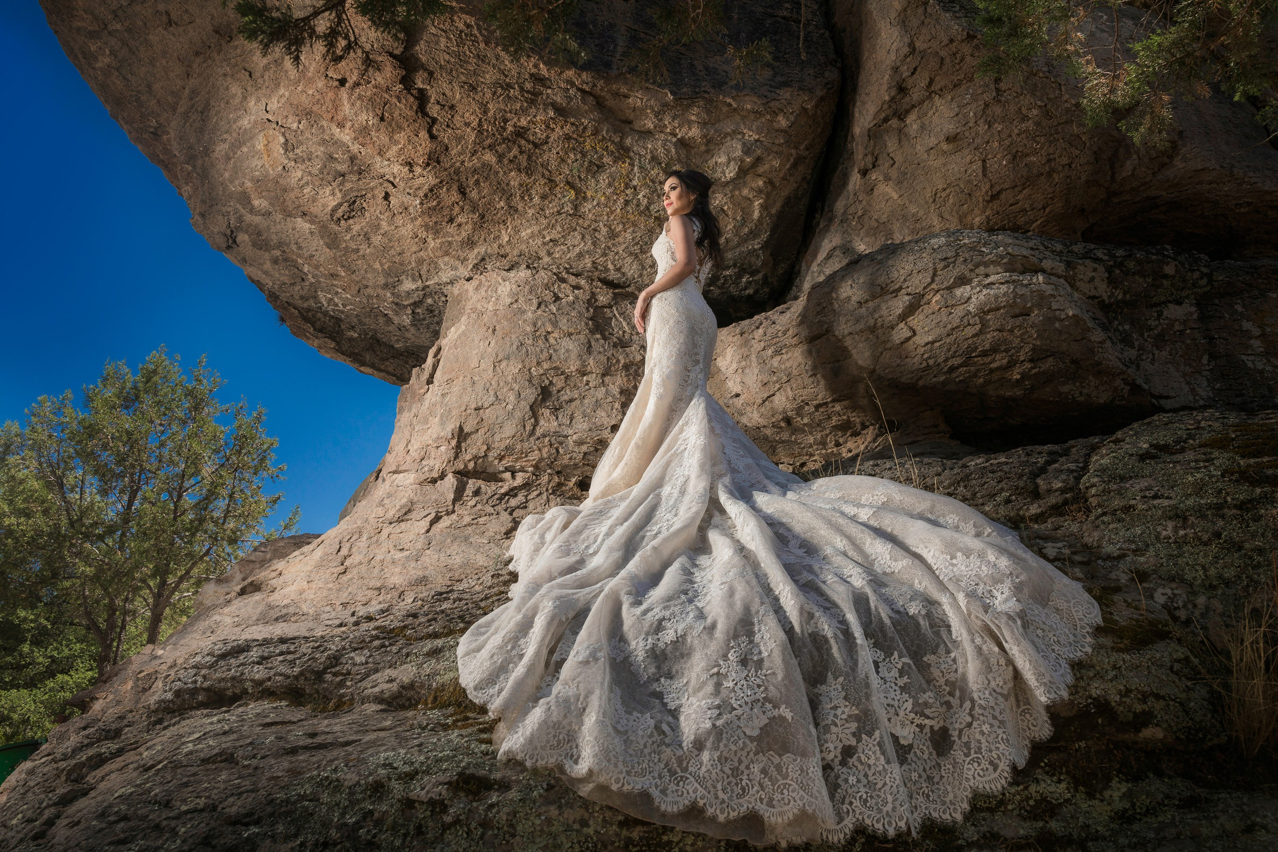 Wedding. Professional Photographer in Chihuahua, Mexico — Alex Mendoza