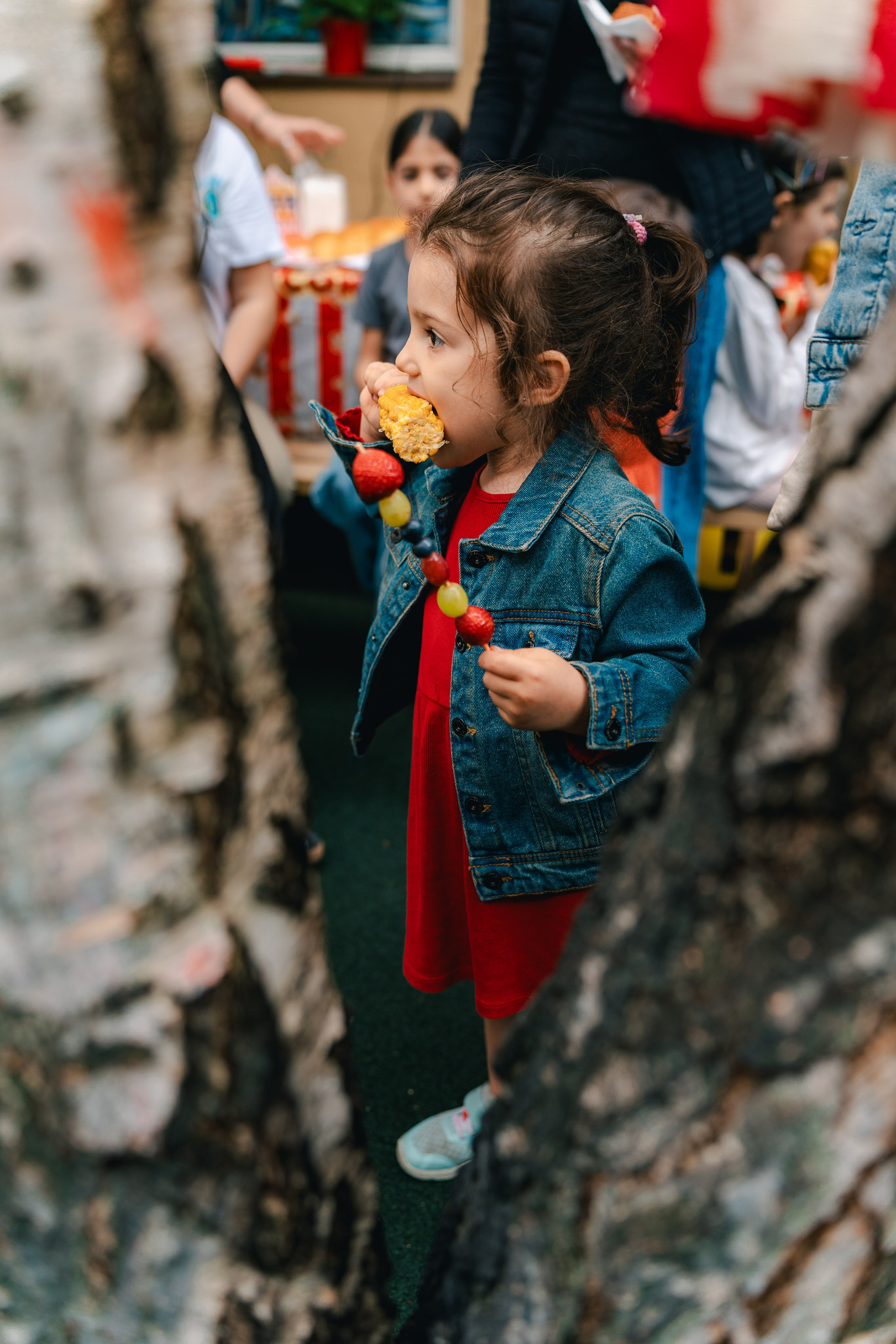 Miniterra Carusel. Liviu Andrei - Fotograf