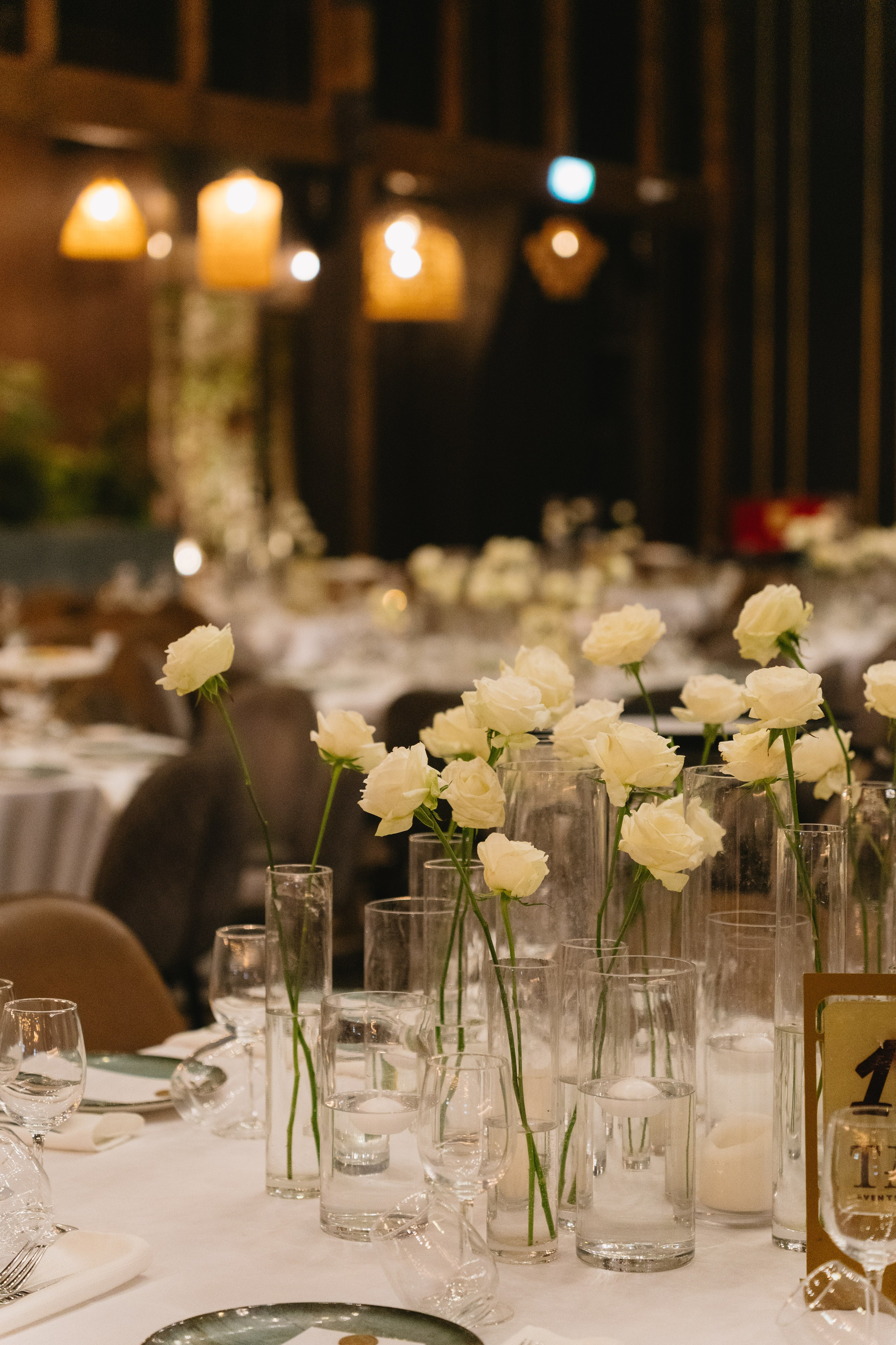 Interior & Venue. Portrait & Event Photography | Israel | David Shafirov