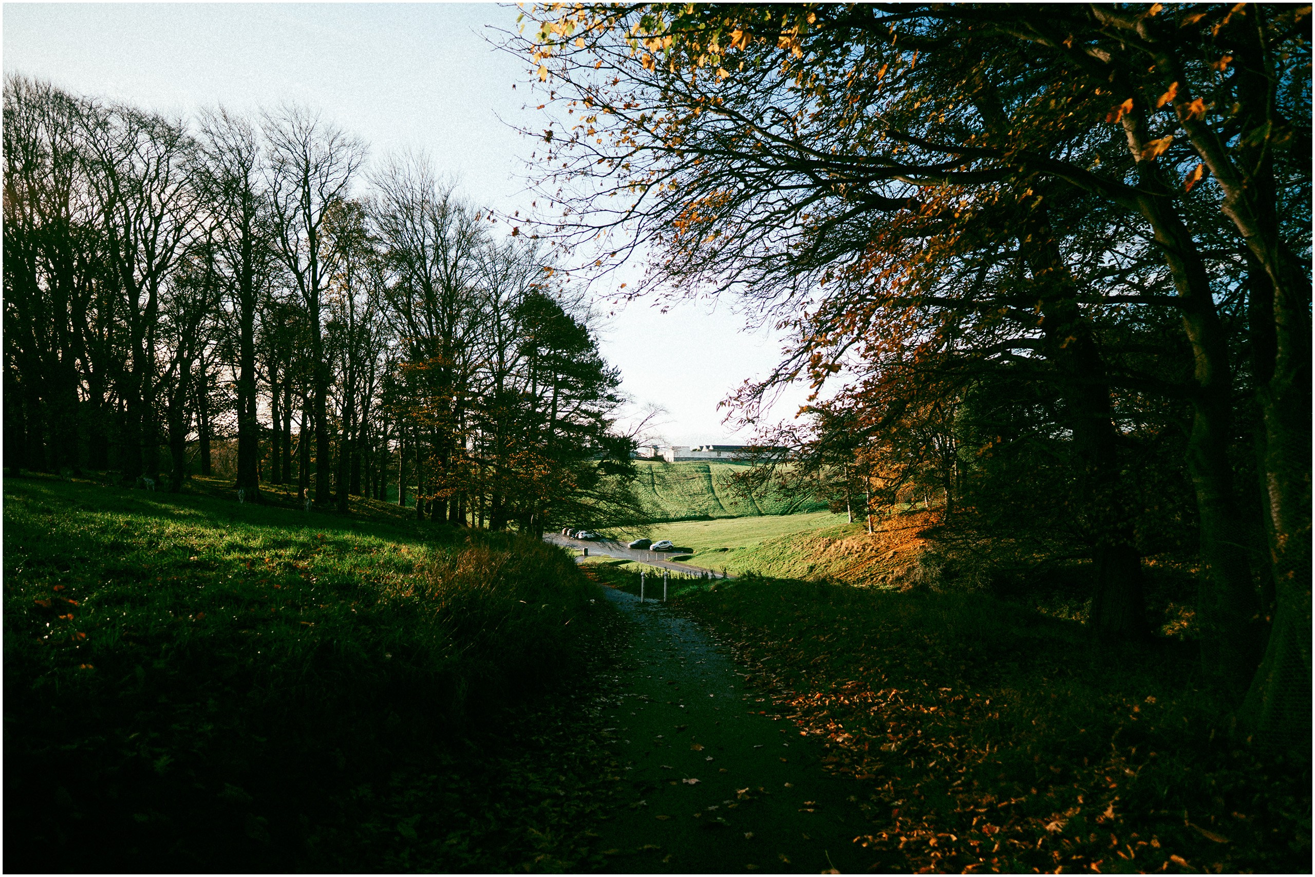 IRELAND. Inna Mendelson — Photographer