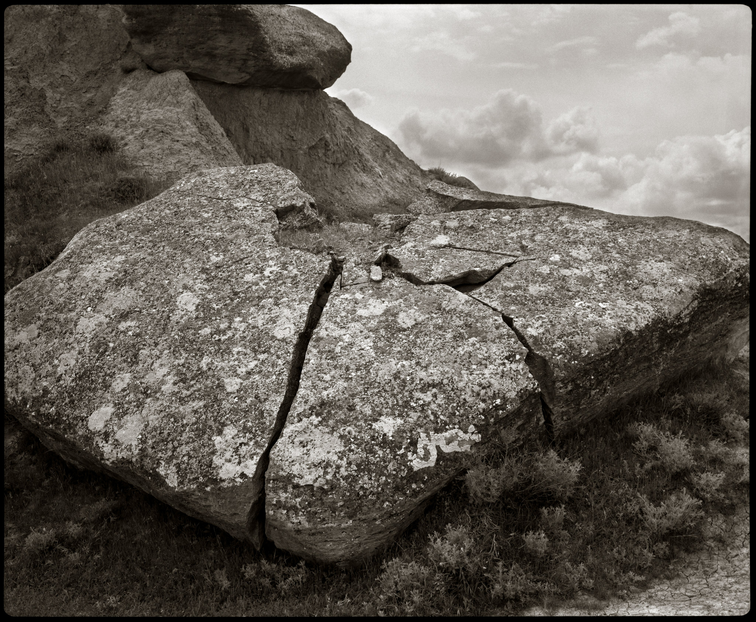 NATURE. Www.sananaleskerov.com