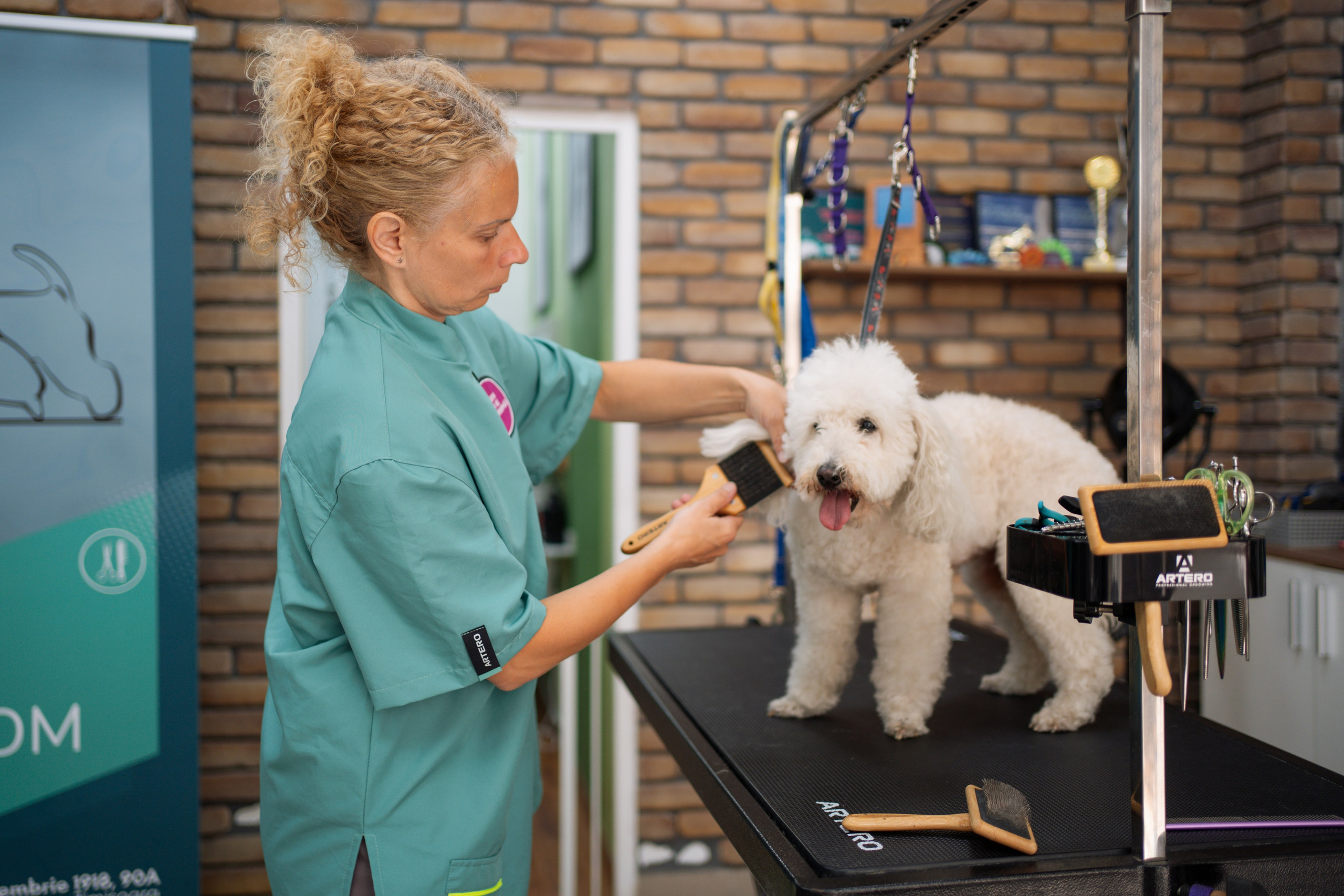 PetGroom Timisoara. Cozac Cristian Photographer