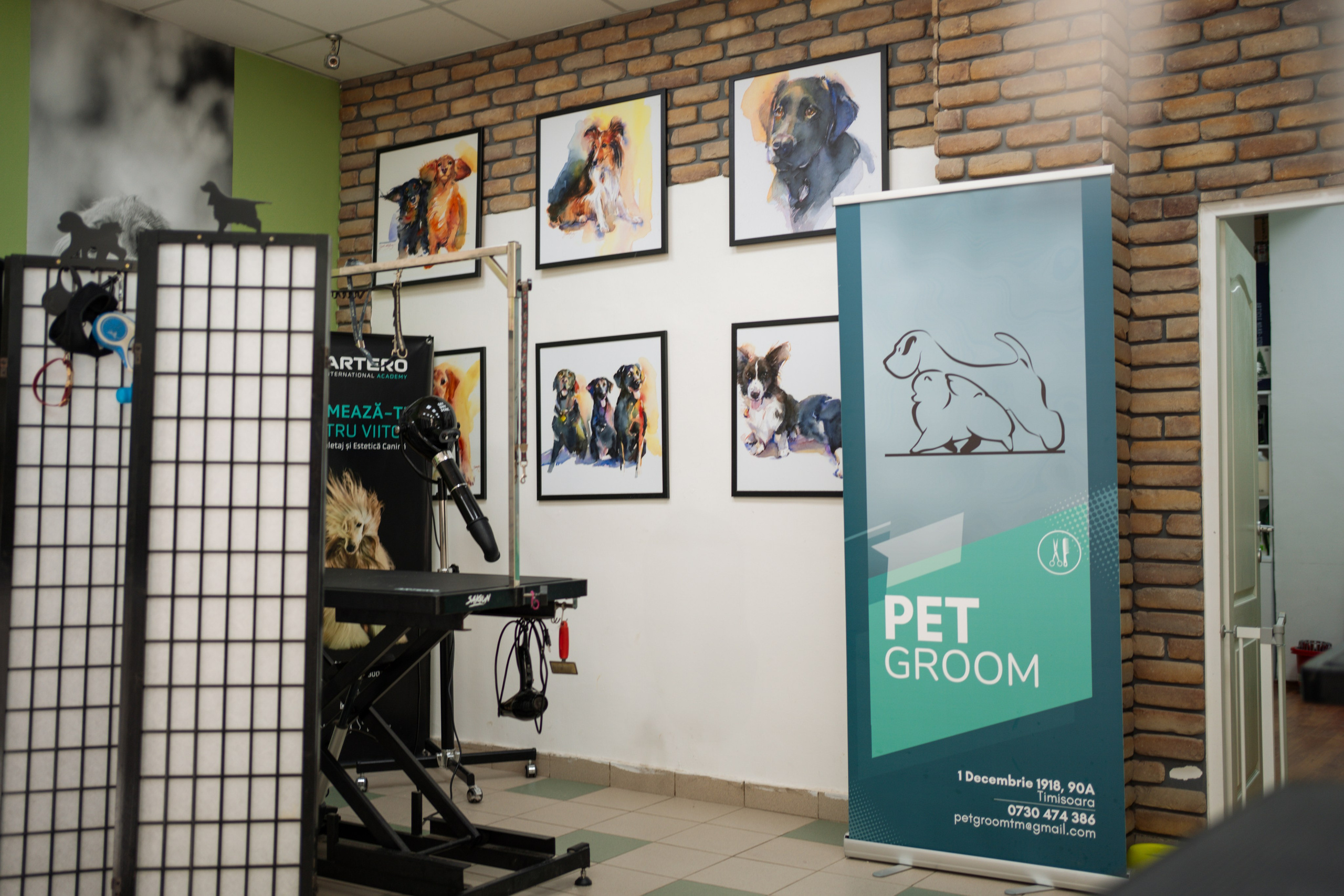 PetGroom Timisoara. Cozac Cristian Photographer