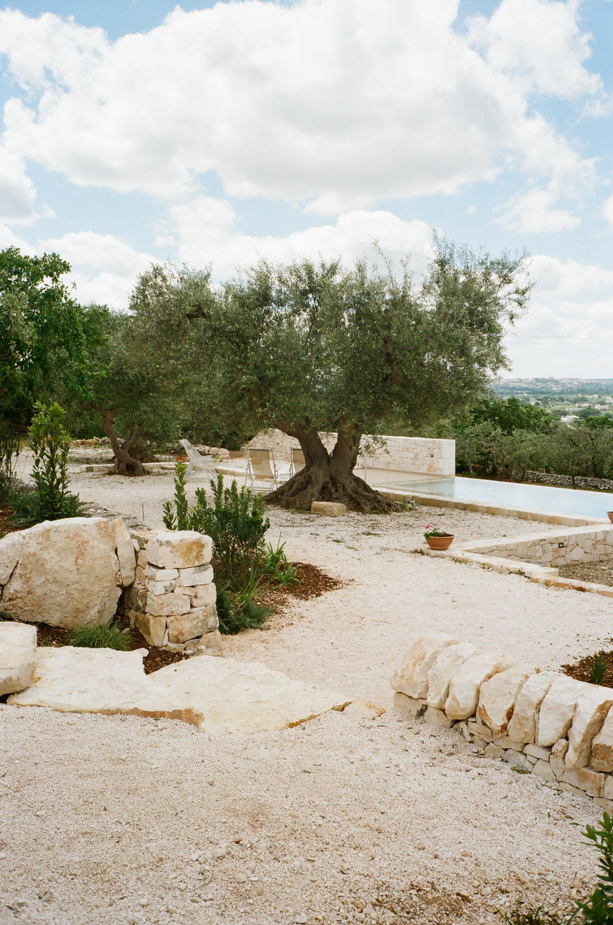 Stephanie & Christian film photos