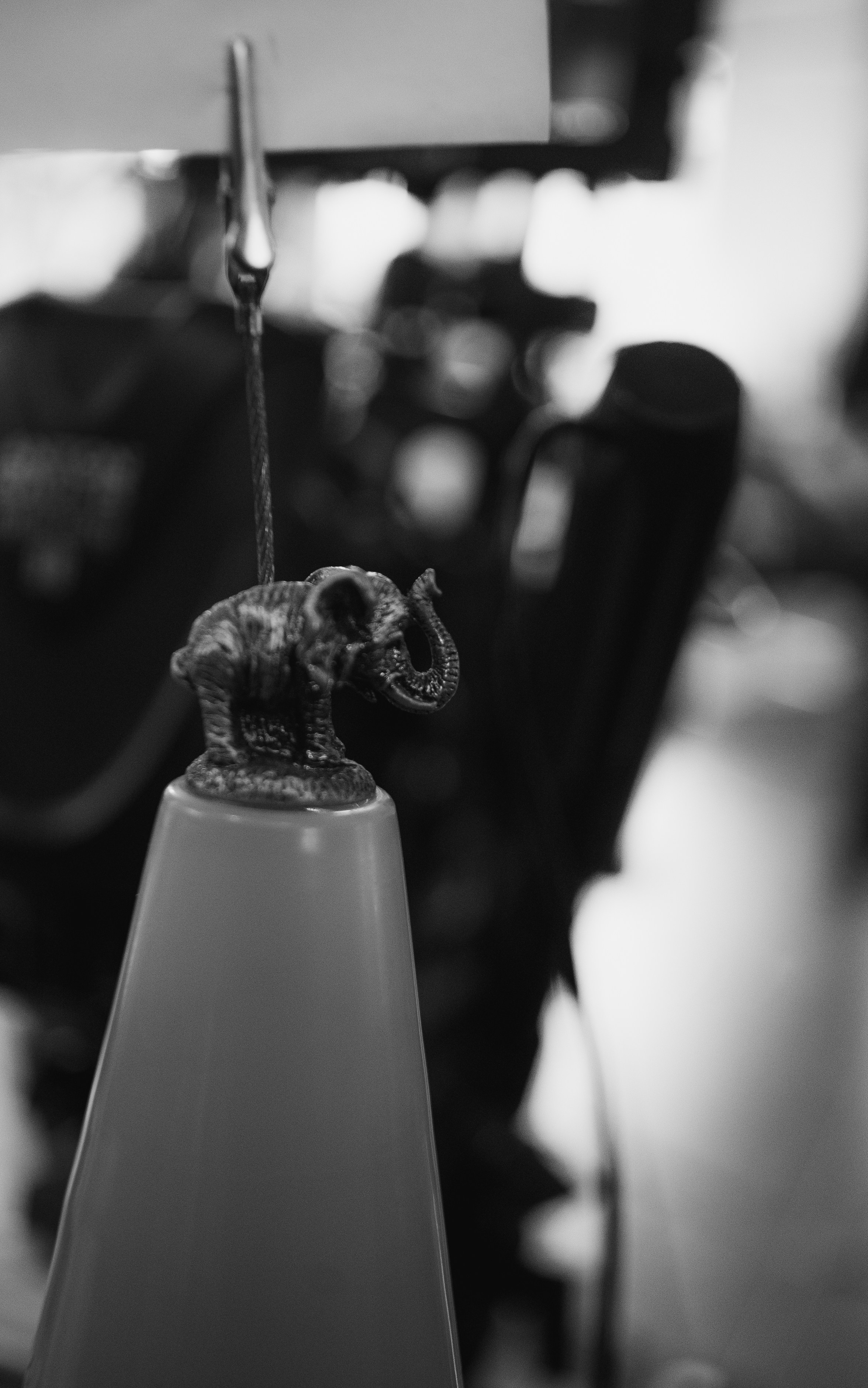 Set photography by Shiva Marchand. Visual Art by Life Artist, Shiva Marchand