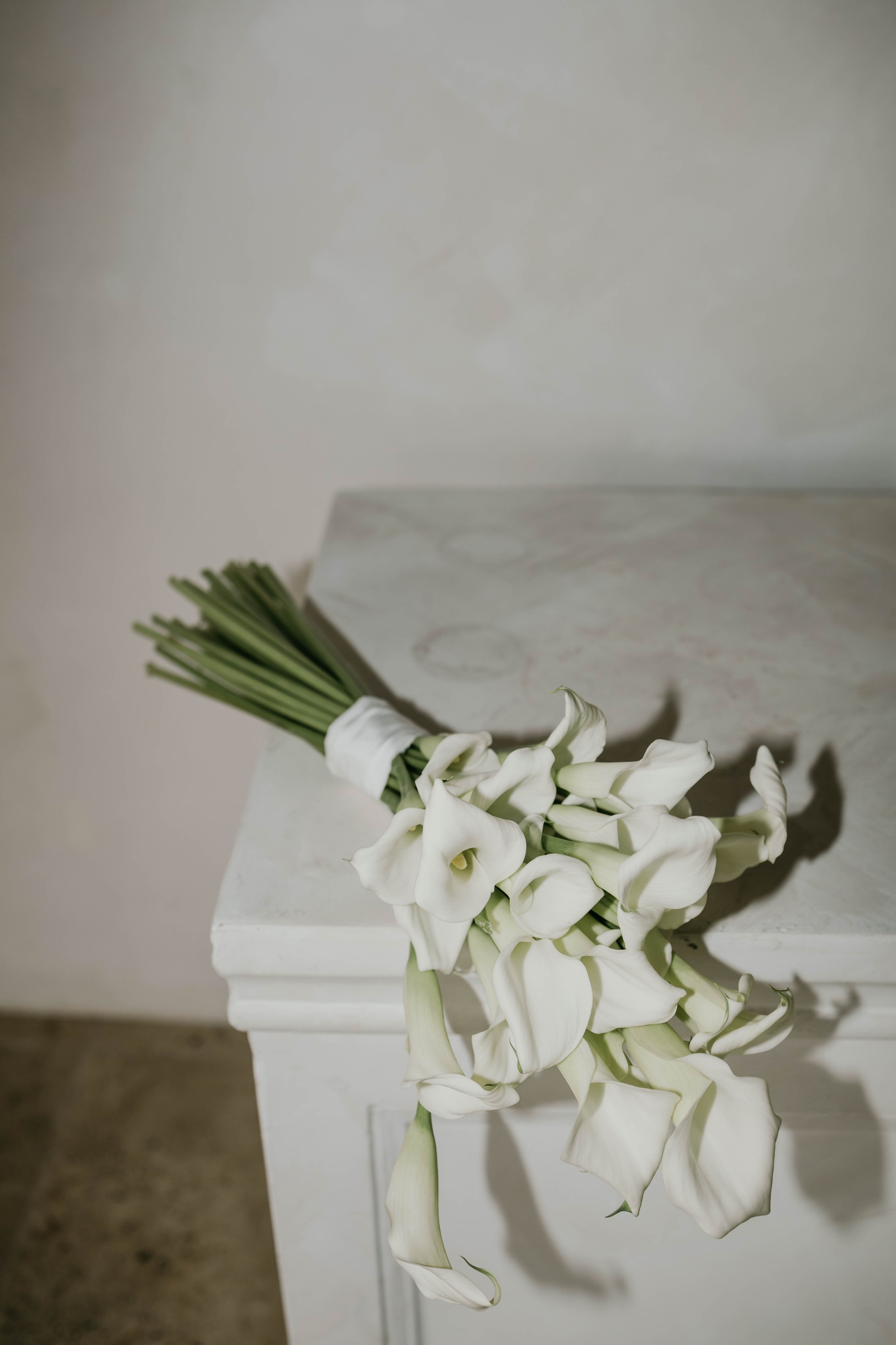 JULIA DAWID. Fotograf Mykhalchuk Inna Kraków