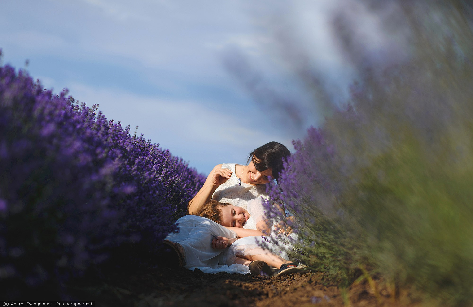Family photosession in lavender in Moldova — family and wedding photographer Andrei Zveaghintev. Wedding and family photographer in Moldova, Chisinau— Andrei Zveaghintev