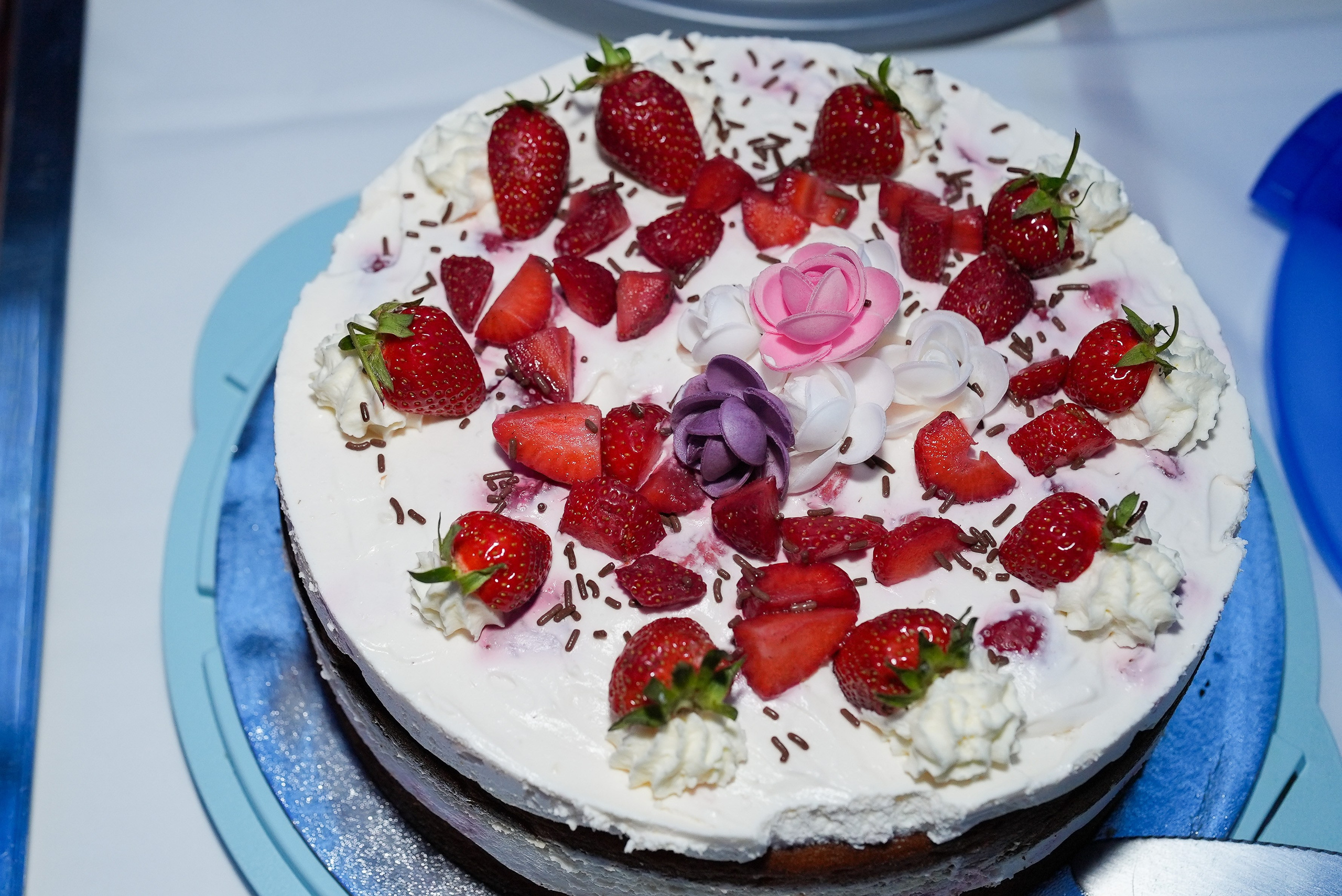 Kevin & Jasmin. Fotostudio in Metzingen