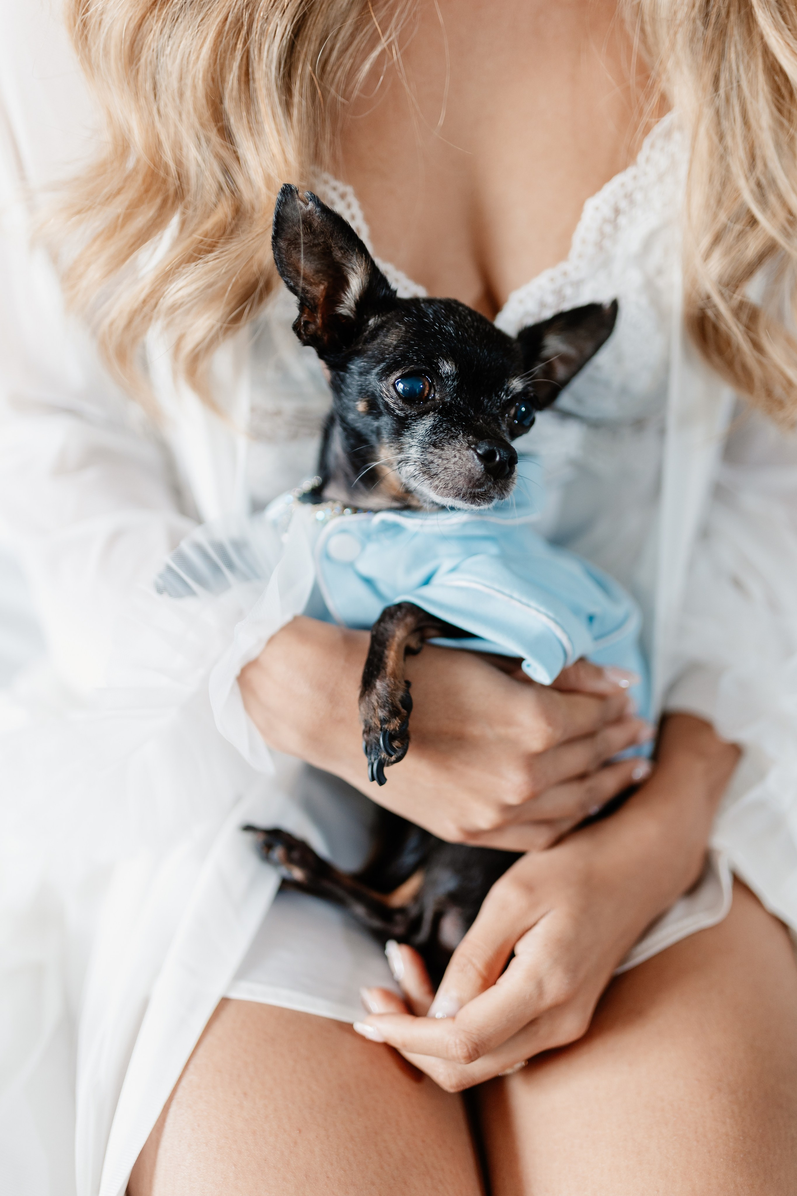 Timeless Romance | Joanna & Leo’s Wedding at the Ancient Spanish Monastery. YES I DO PRODUCTION — Wedding photography&videography