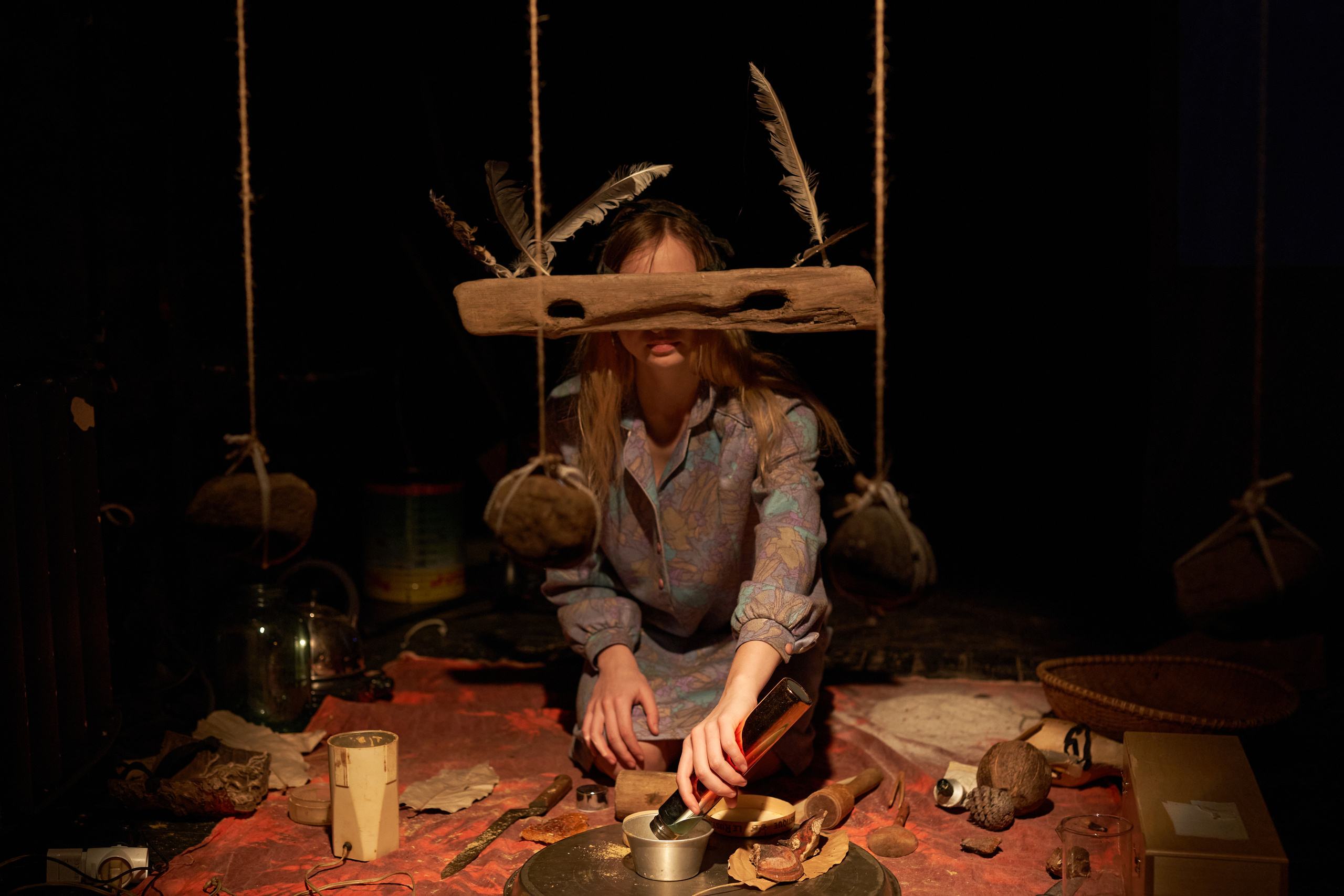 Forest. Mushrooms. Singularity Film