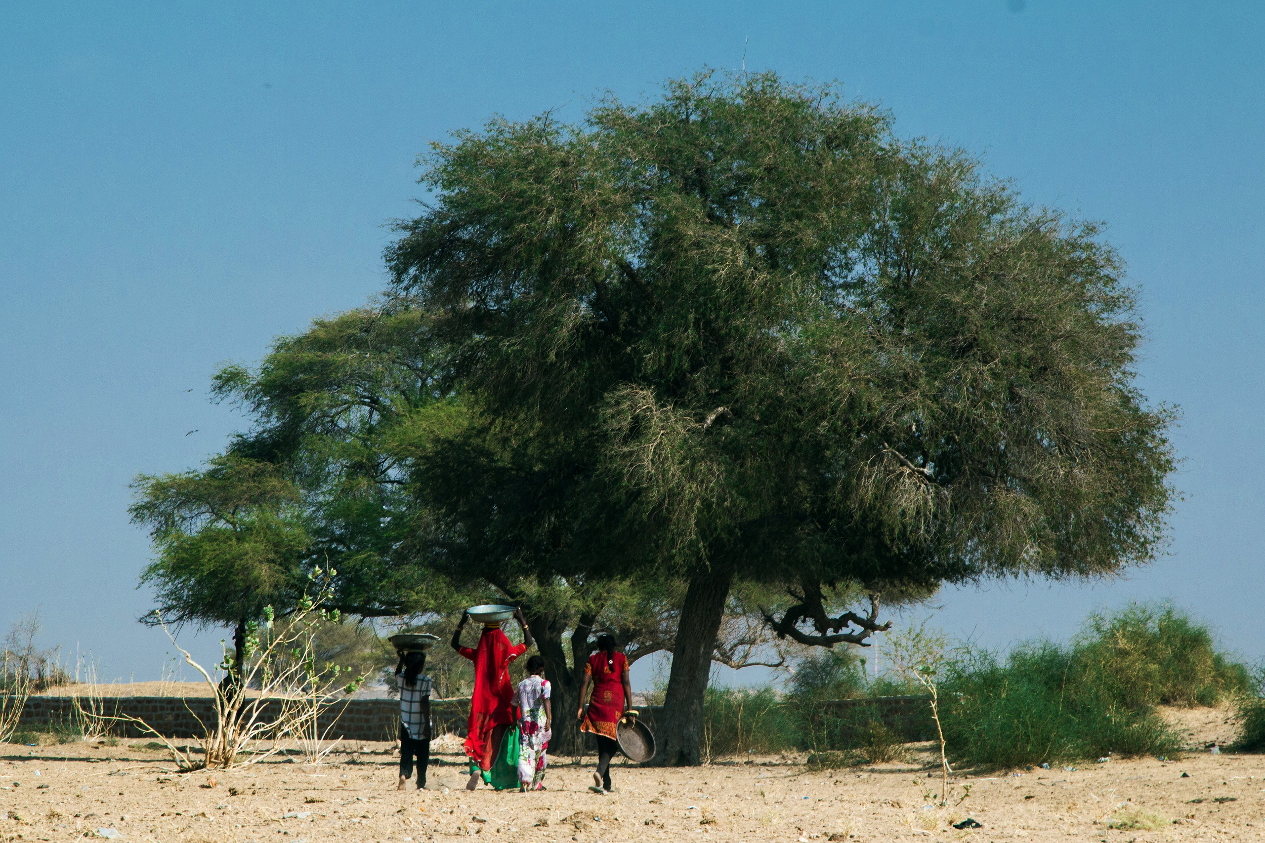 Red Curry. Natalia Roshchenko, Photographer in Brussels, Belgium