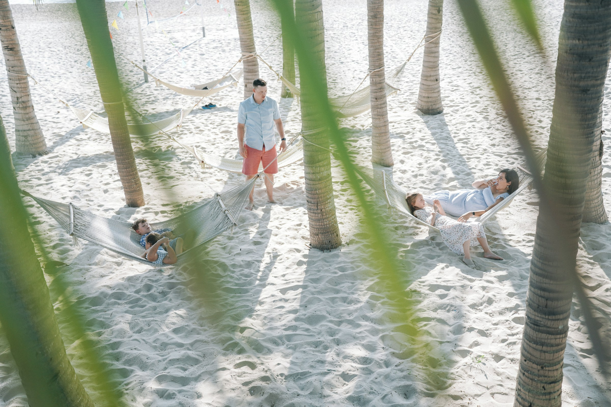 Brown. Stargazing Production