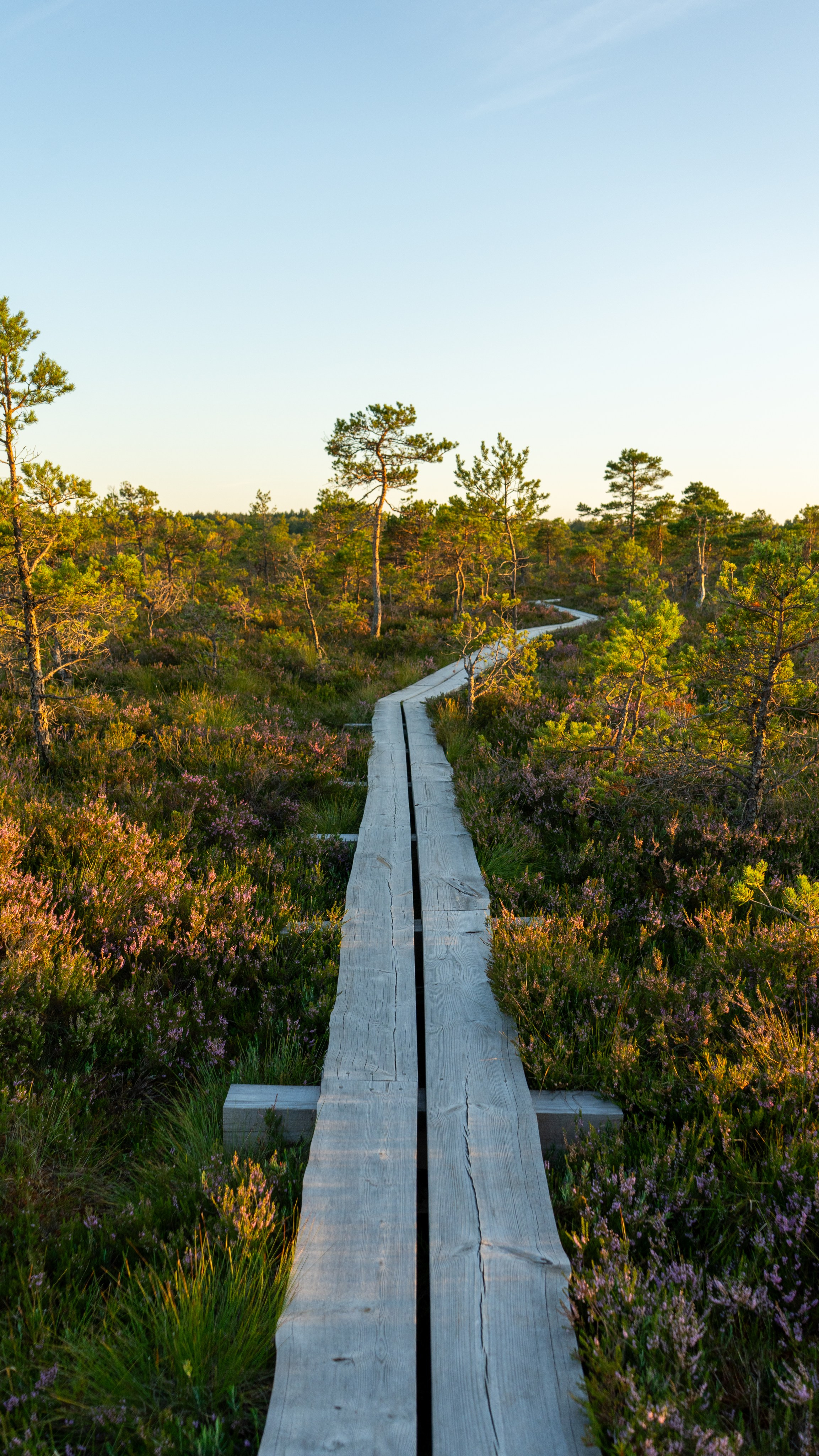 Whispers of Estonia. Photography | Videography | Marketing