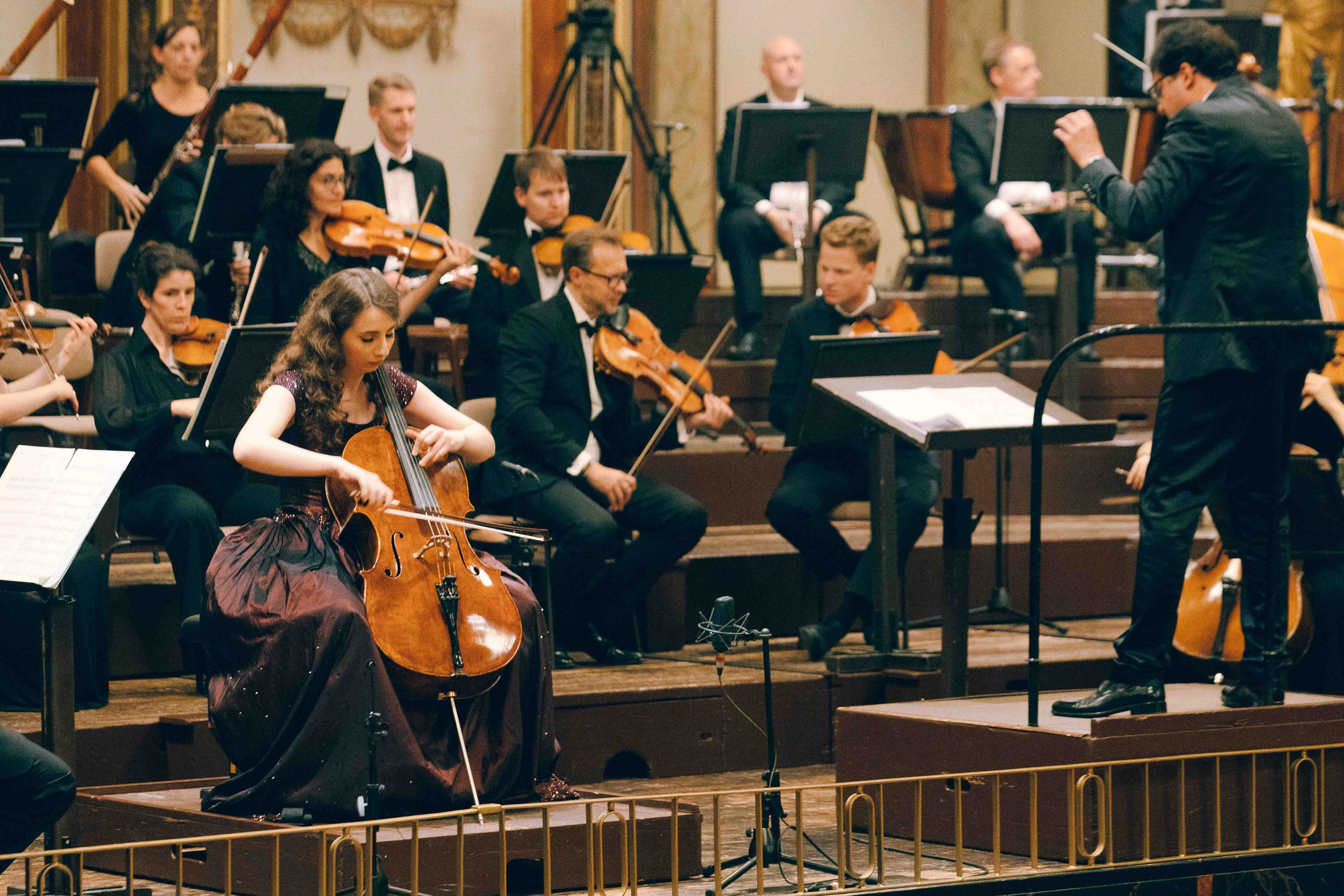 MUSIKVEREIN (VIENNA). Wedding&Event photographer Ismail Rzayev in Baku