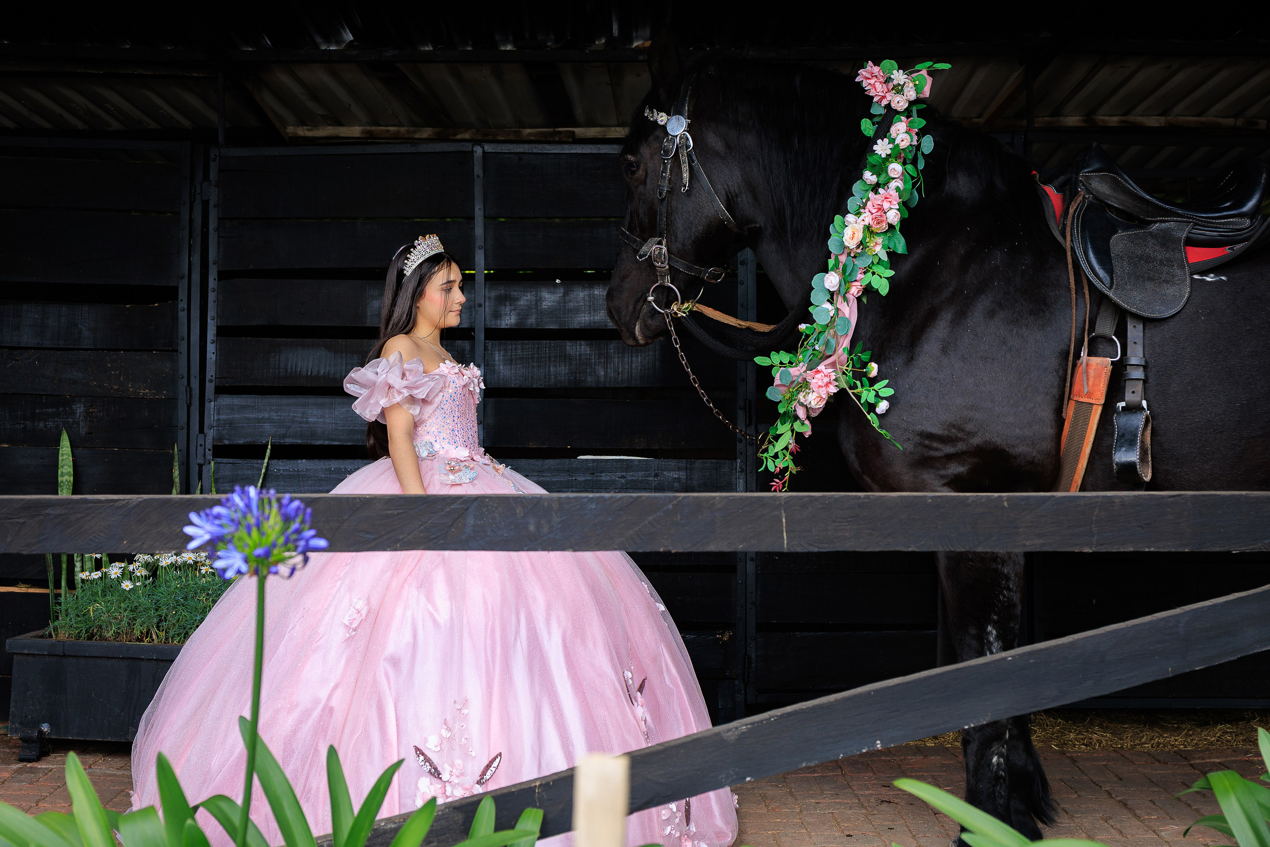 Laura. Harnol Lopez - Fotografia de Quinces & Bodas