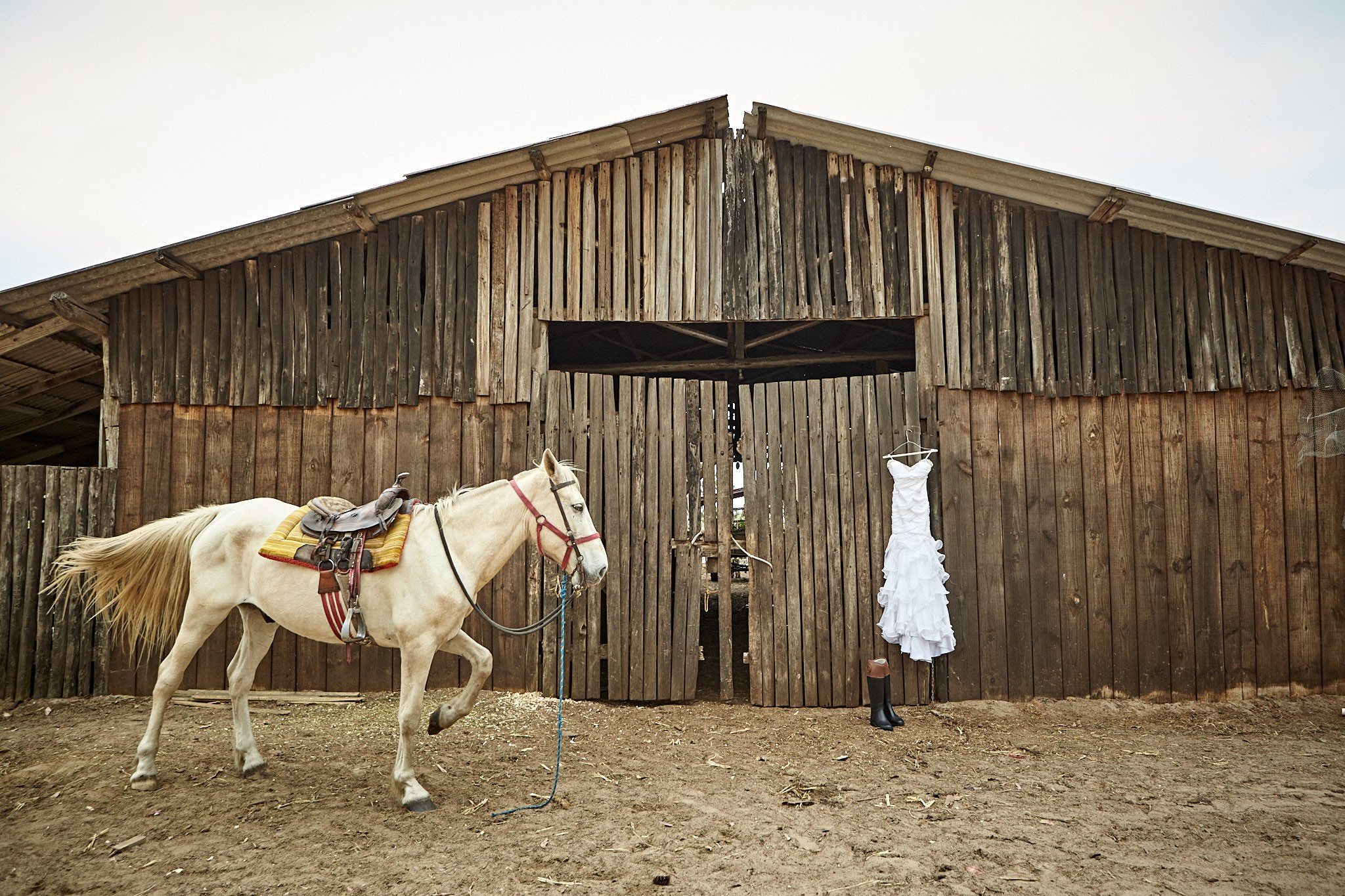 Trash The Dress Cynthia e Deocelso. Fotógrafo de casamentos em Florianópolis