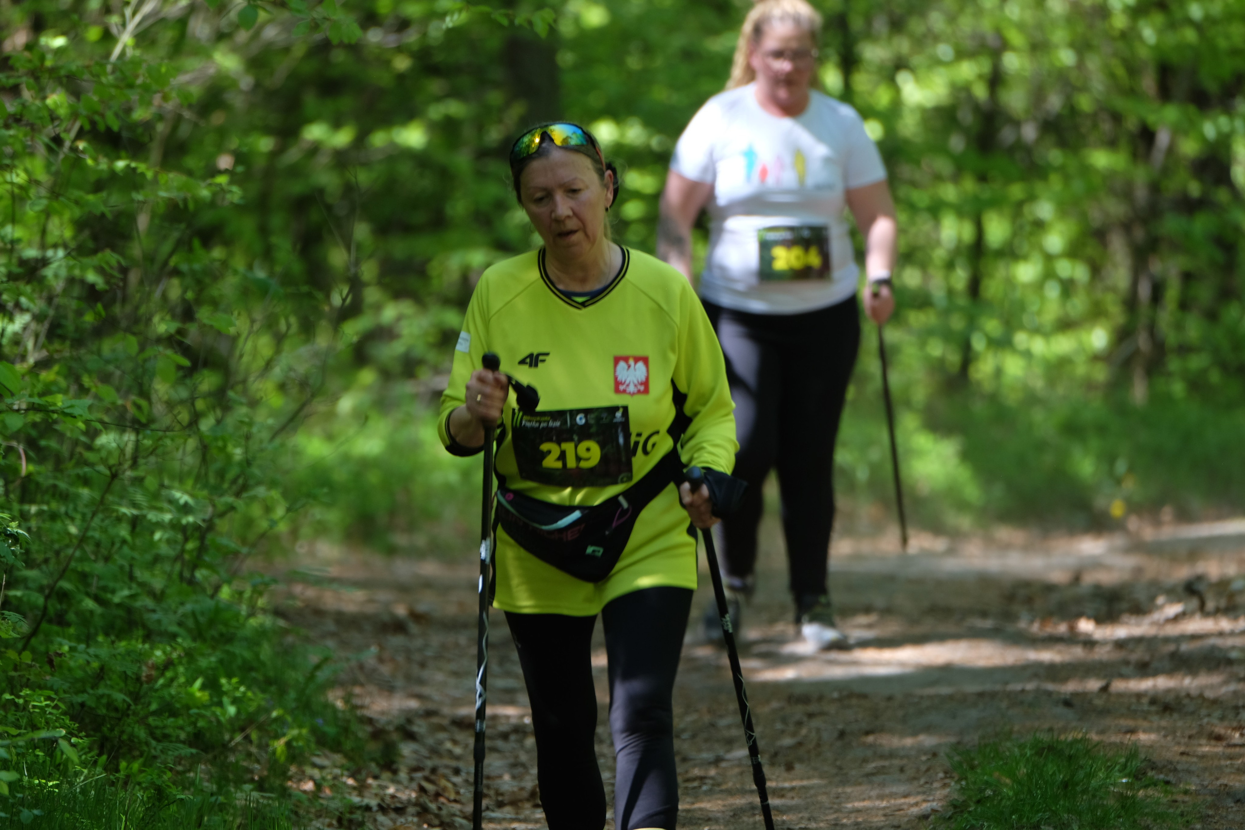 Aleksandryjska Piątka po lesie. Main
