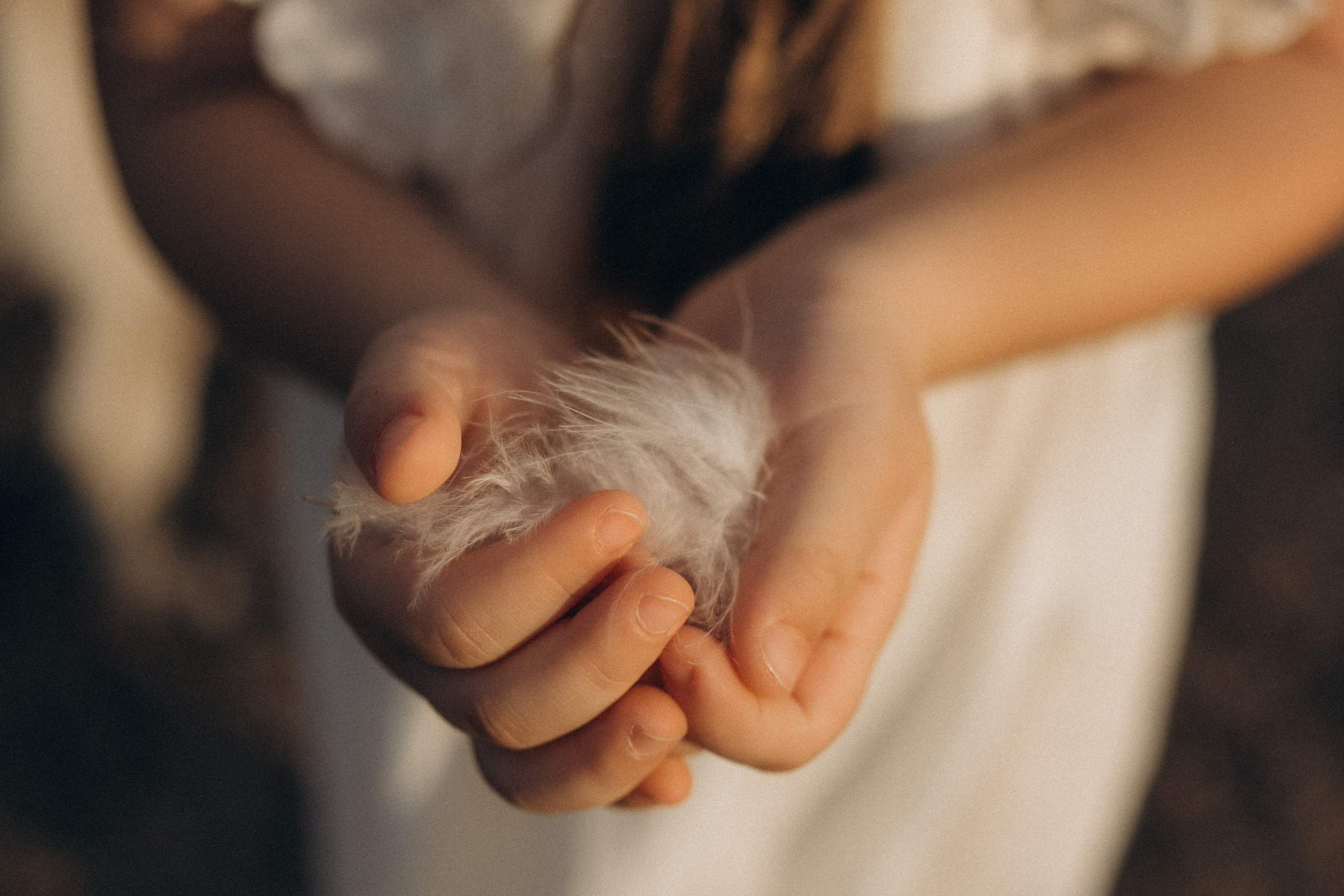 Farm Story. Lens Captures Life