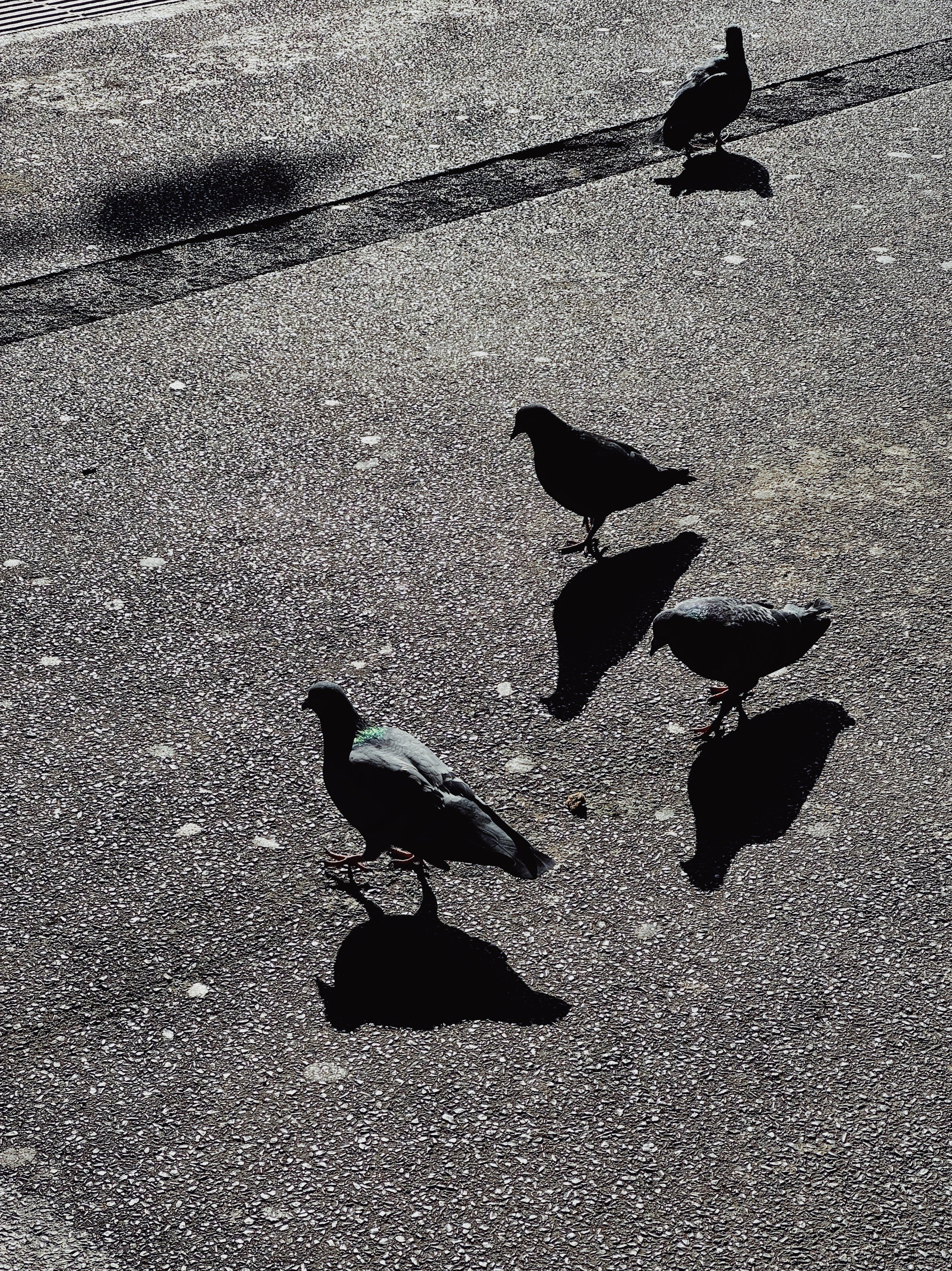 Работы Марии Шер. Sher.SCHOOL