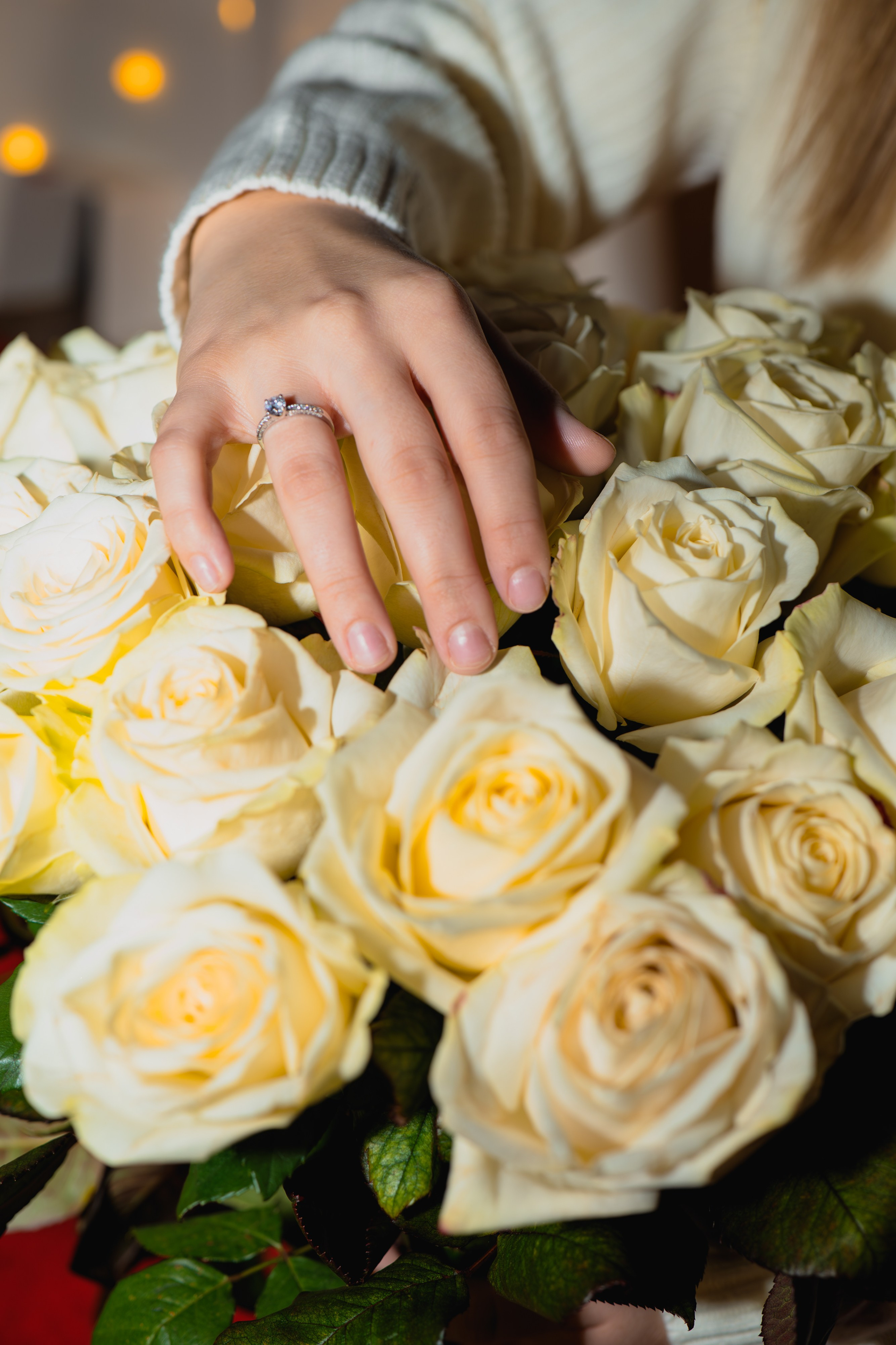 Roman & Ionela. Fotograful și Cameramanul familiei dvs în Franța Paul Photographer