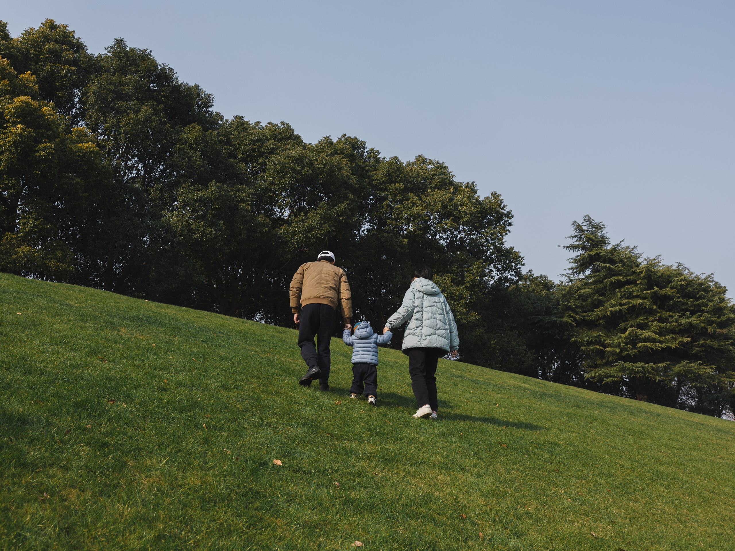 In a park in Shanghai, the parents are holding their two-year-old baby's hand as they walk up the hill.