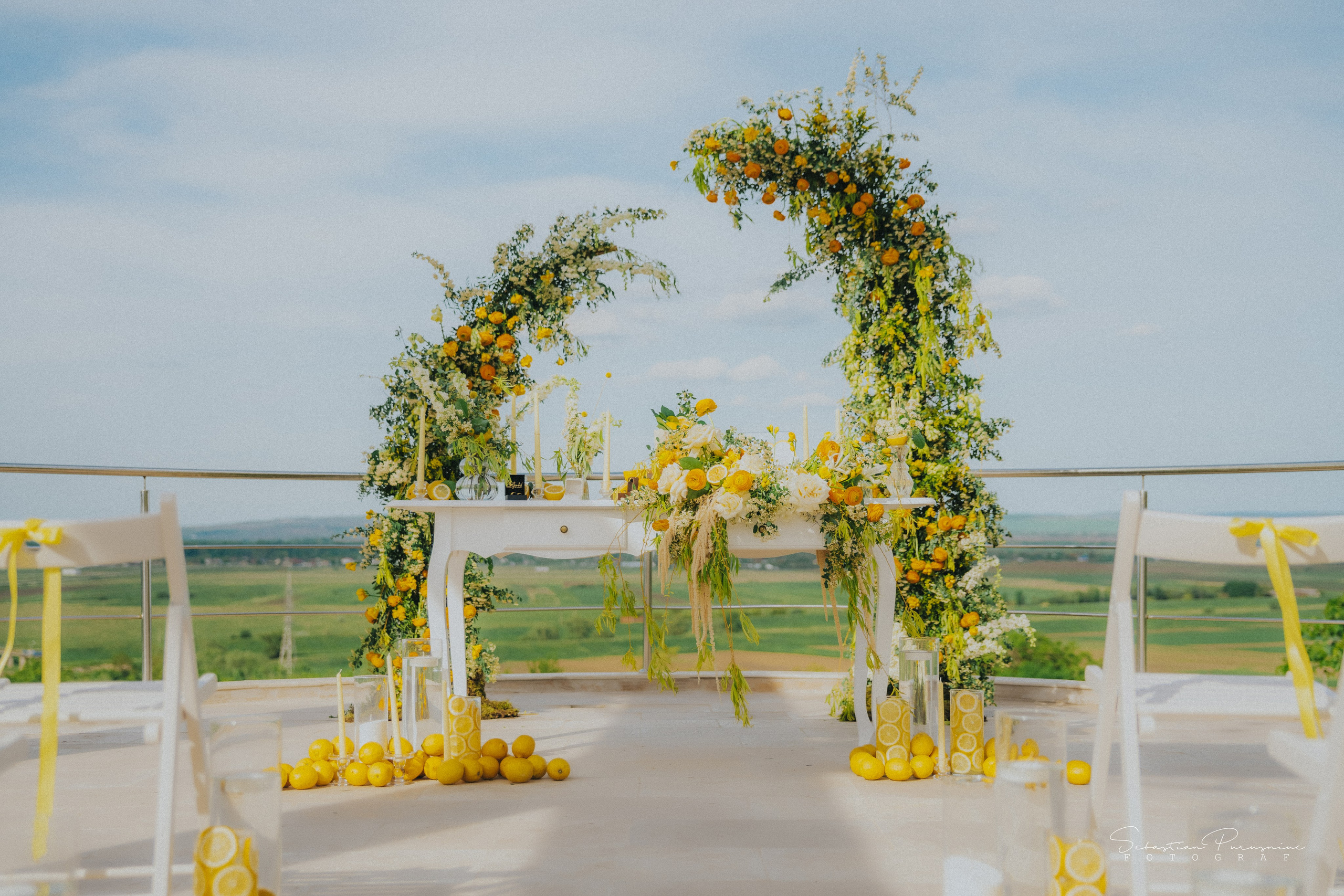 Love & Lemons. Sebastian Purusniuc Fotograf - Iasi