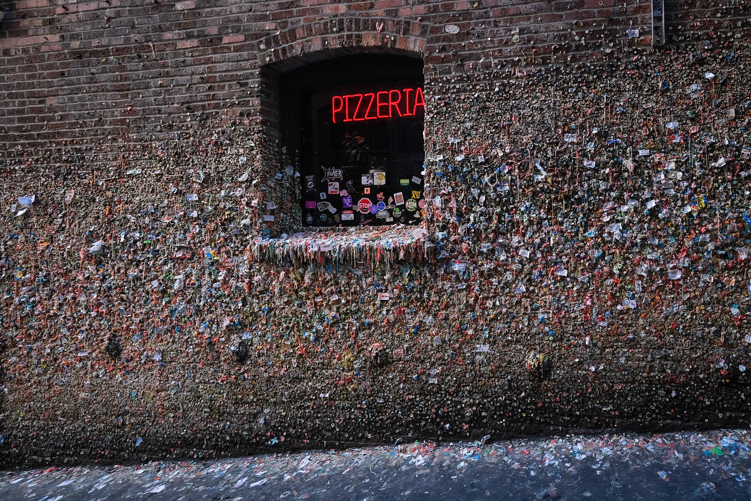 WASHINGTON / SEATTLE. Reportage concert portrait photography in the San Francisco Bay Area