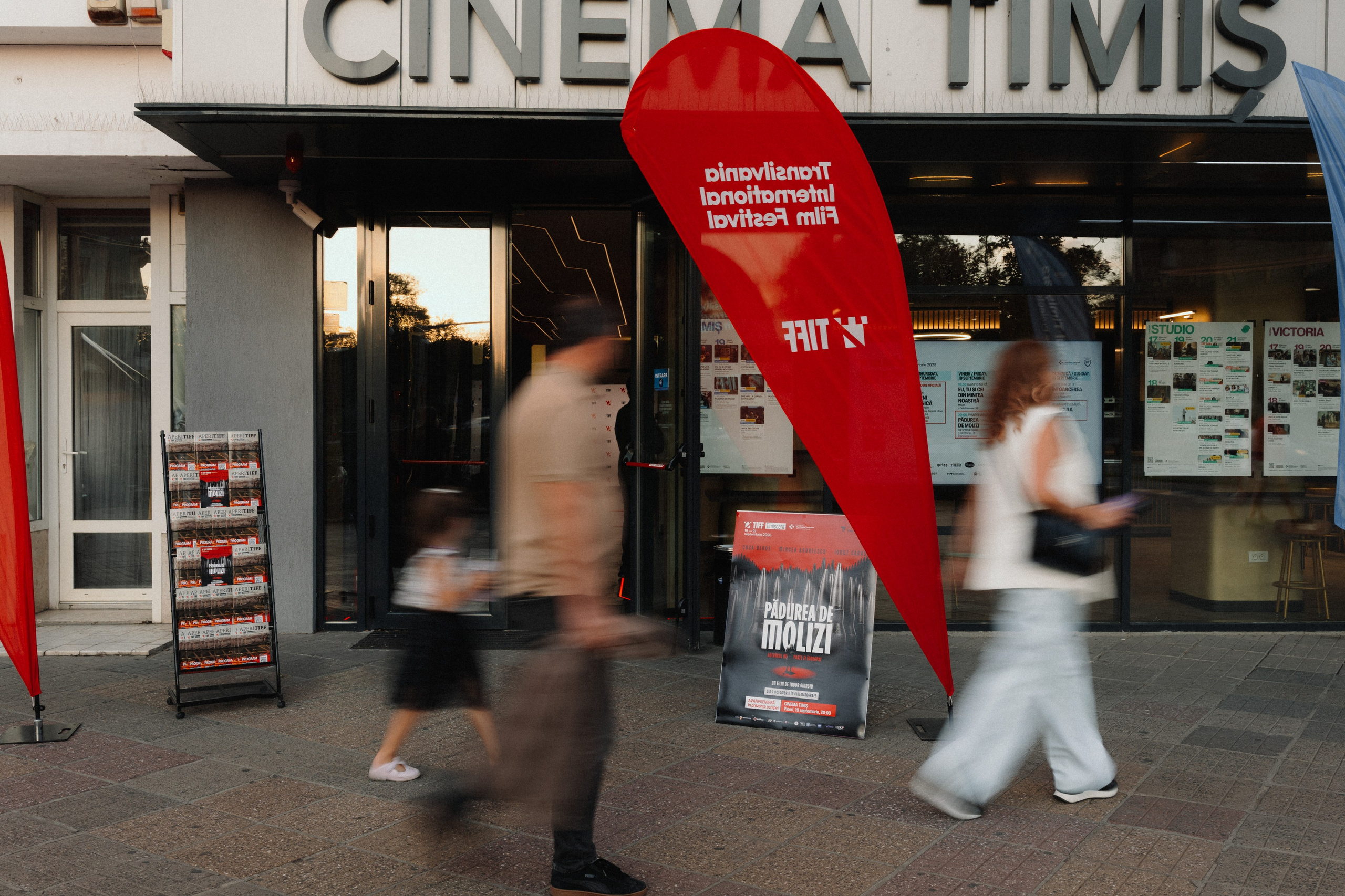 Festivaluri & Evenimente Mari - Foto