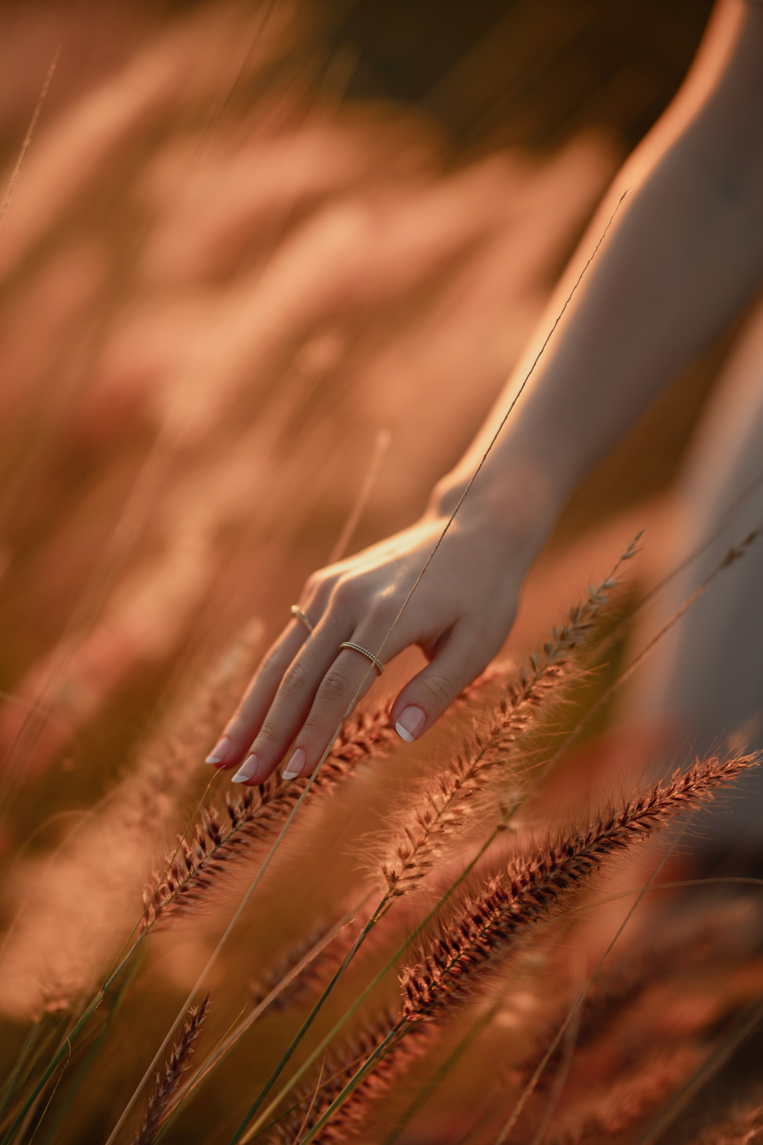 Isabelle15anos.Sitio das borboletas. Fotógrafo de Casamento, grávida, Retrato, Corporativo