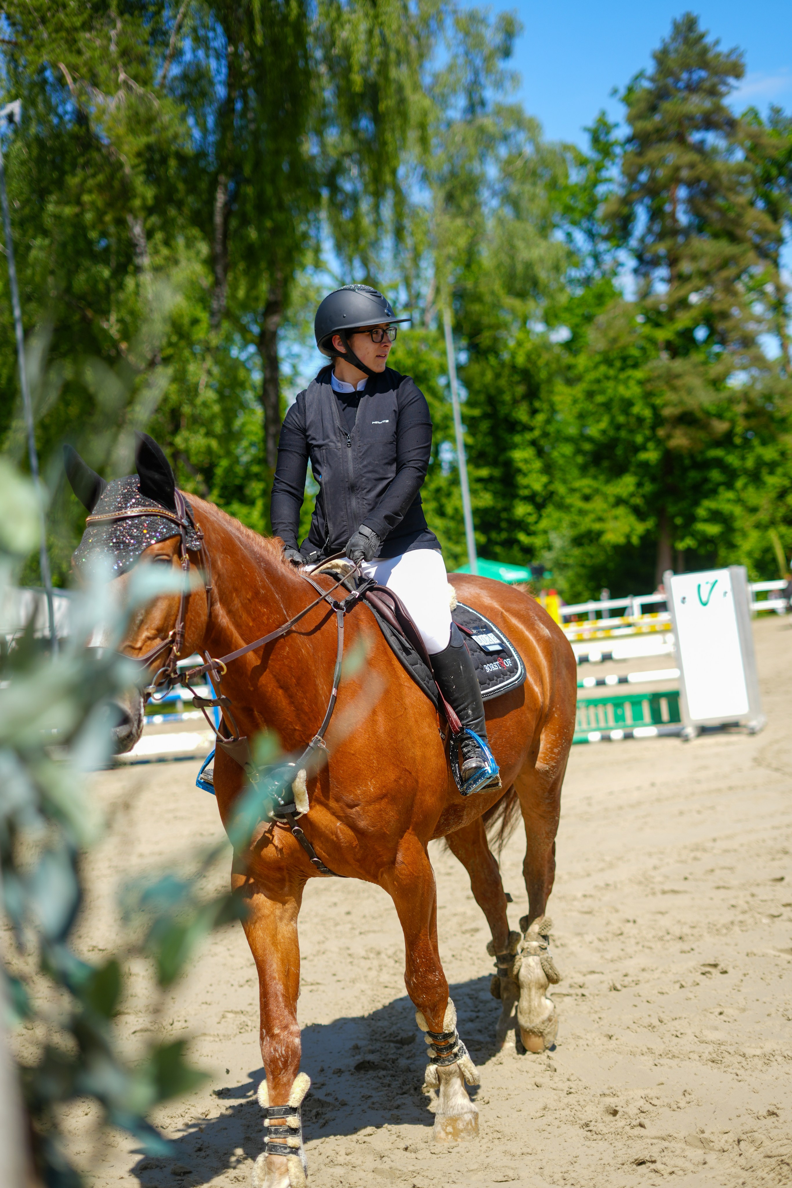 Equestrian Competition