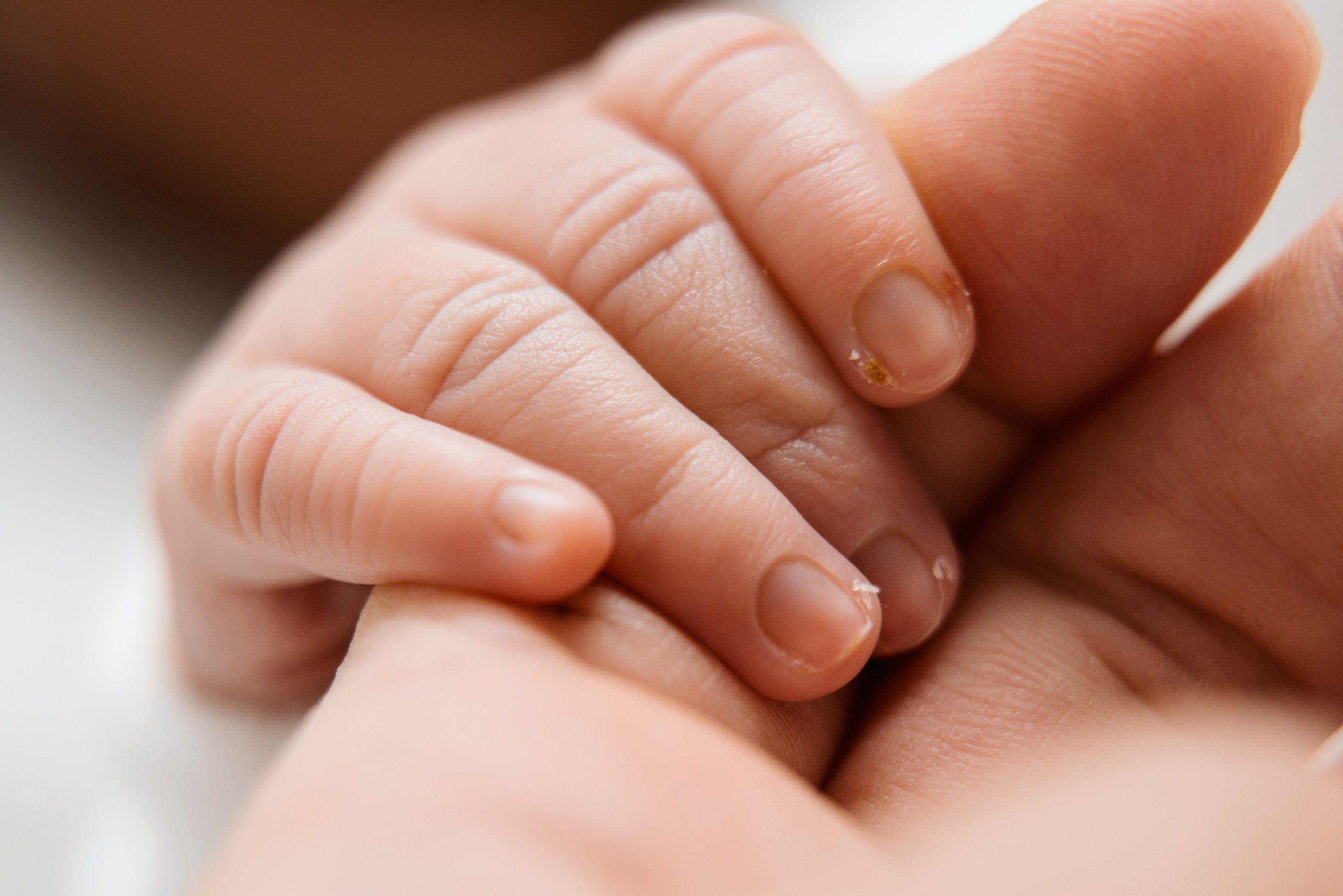 Newborn 2025. Svitlana Miahka fotografa a Genova