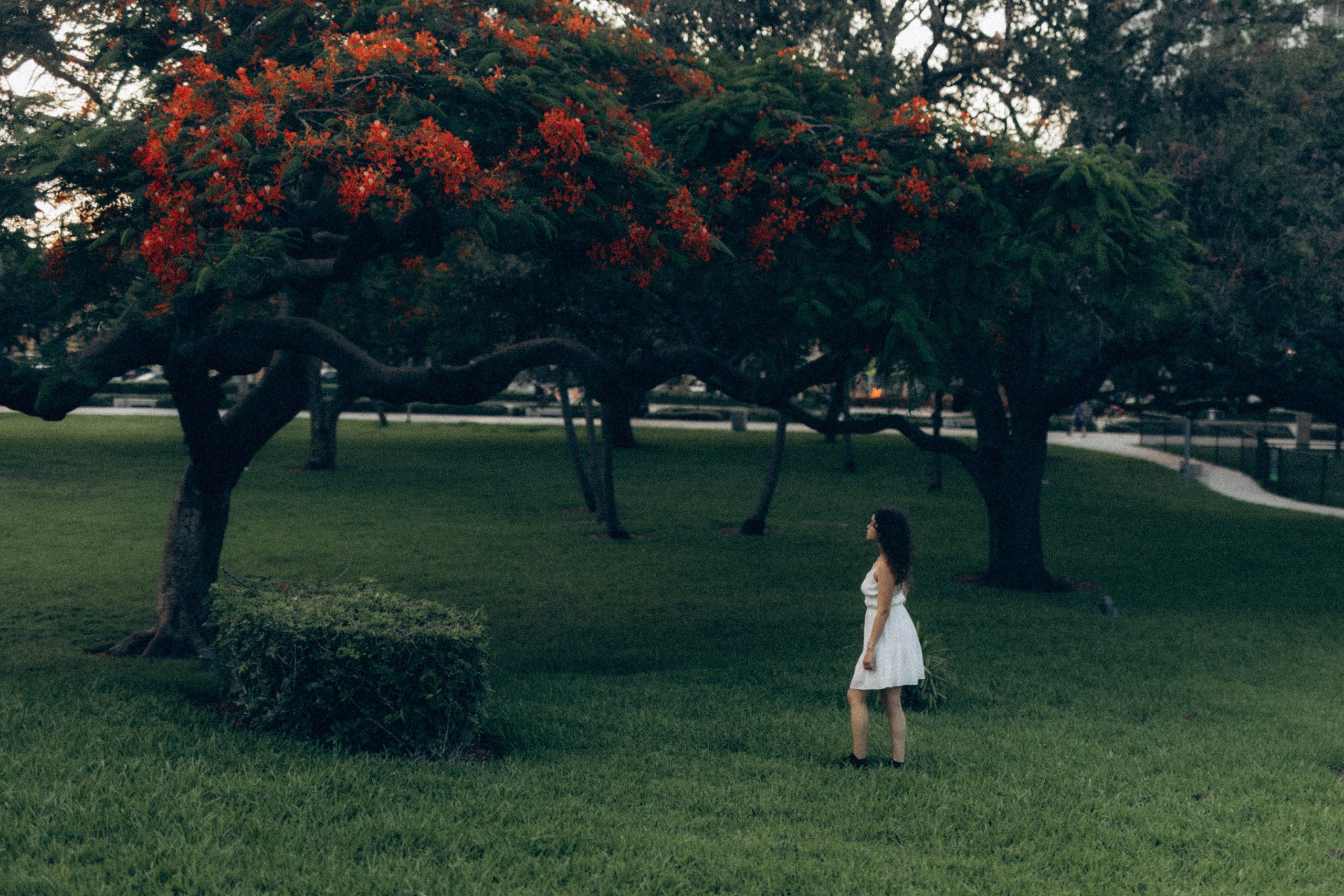 Portrait. TETIANA UDOVYCHENKO PORTRAIT PHOTOGRAPHER