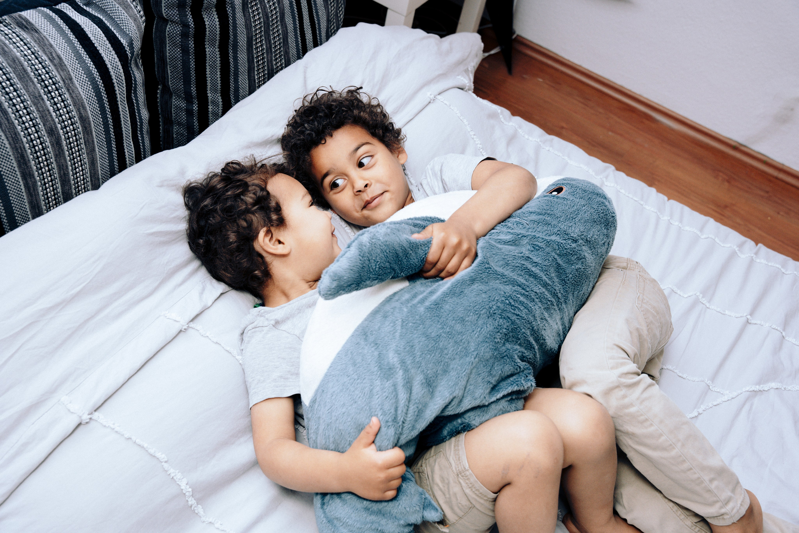 Kraken. Photograf NRW