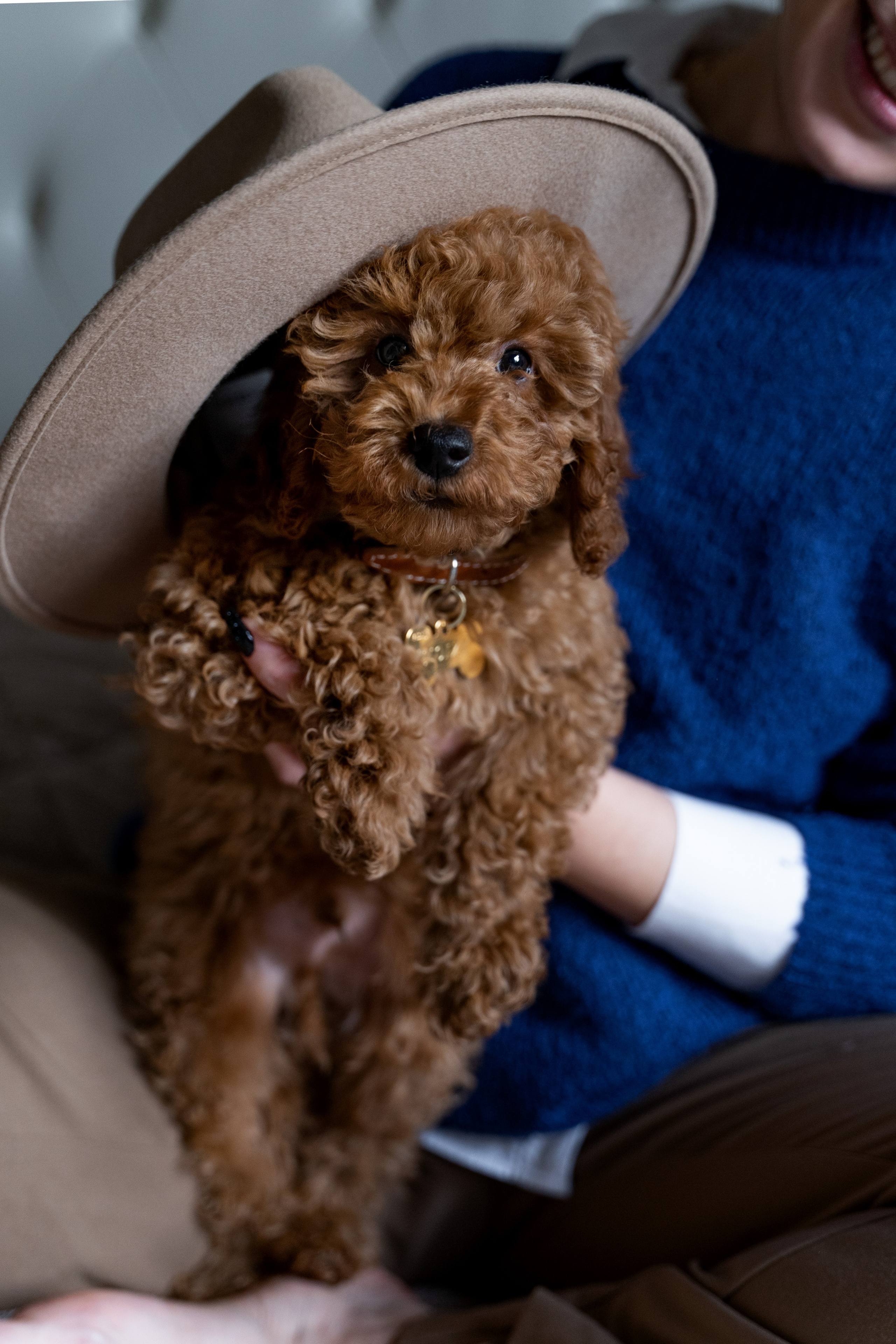 Noizy e Ana. Wedding photographer Natalia