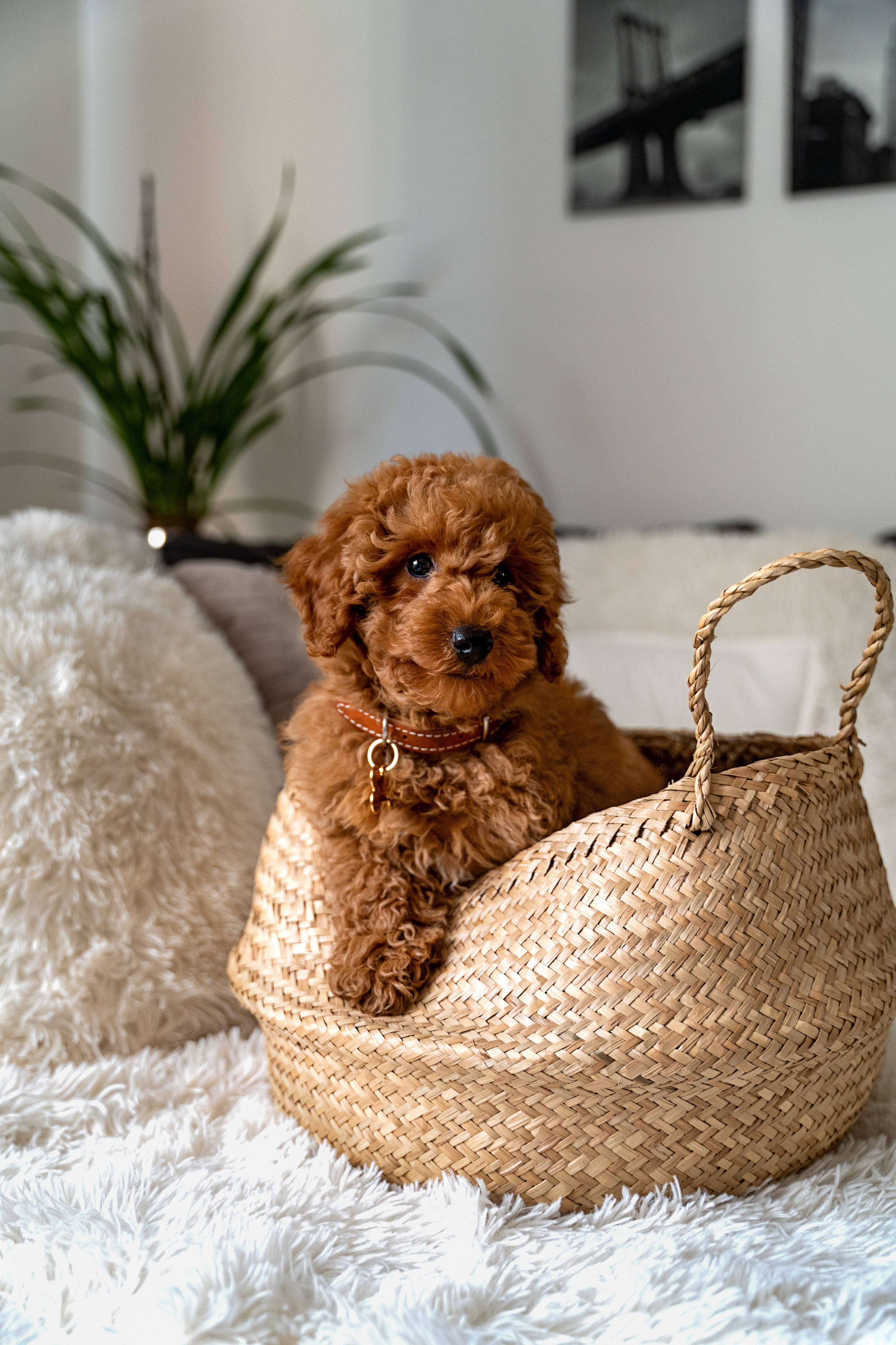 Noizy e Ana. Wedding photographer Natalia