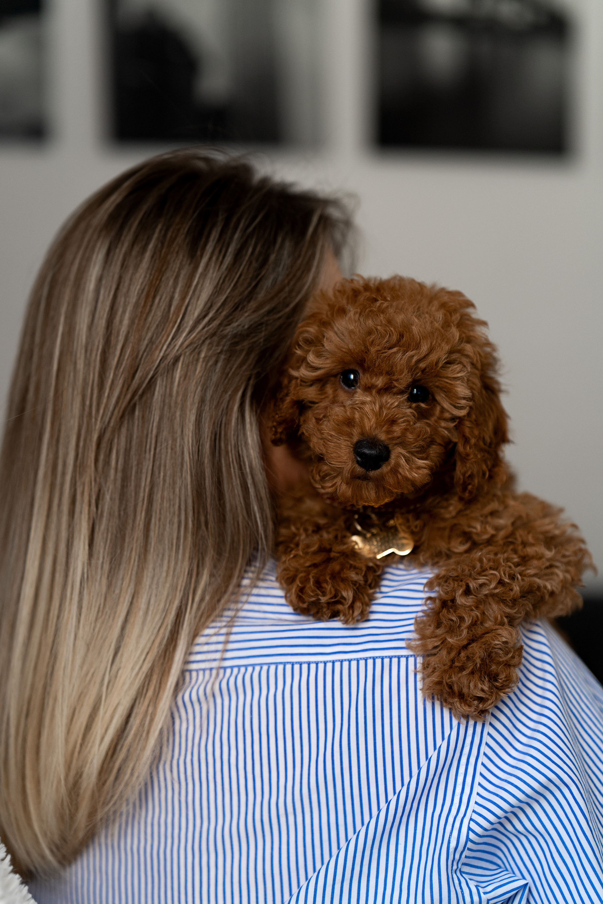 Noizy e Ana. Wedding photographer Natalia