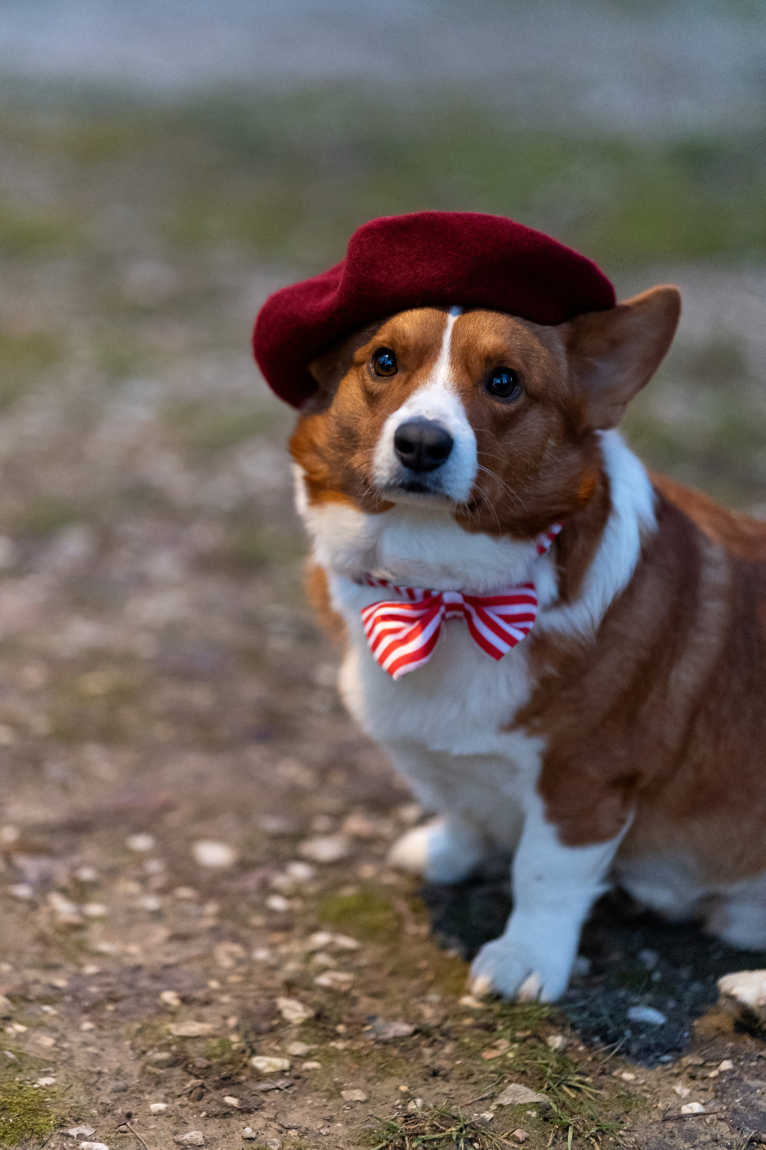 Lady and gentleman. Wedding photographer Natalia