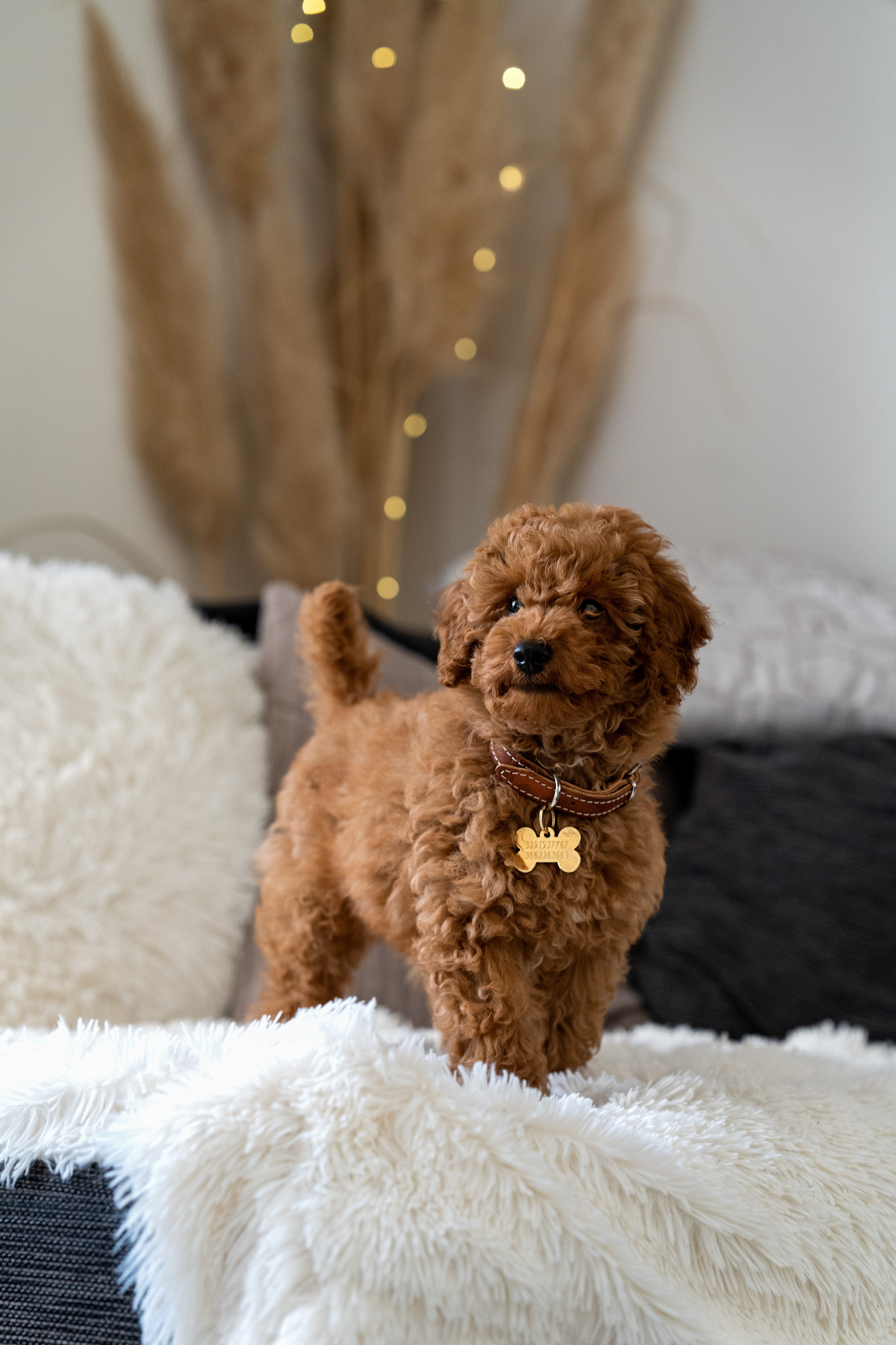 Noizy e Ana. Wedding photographer Natalia